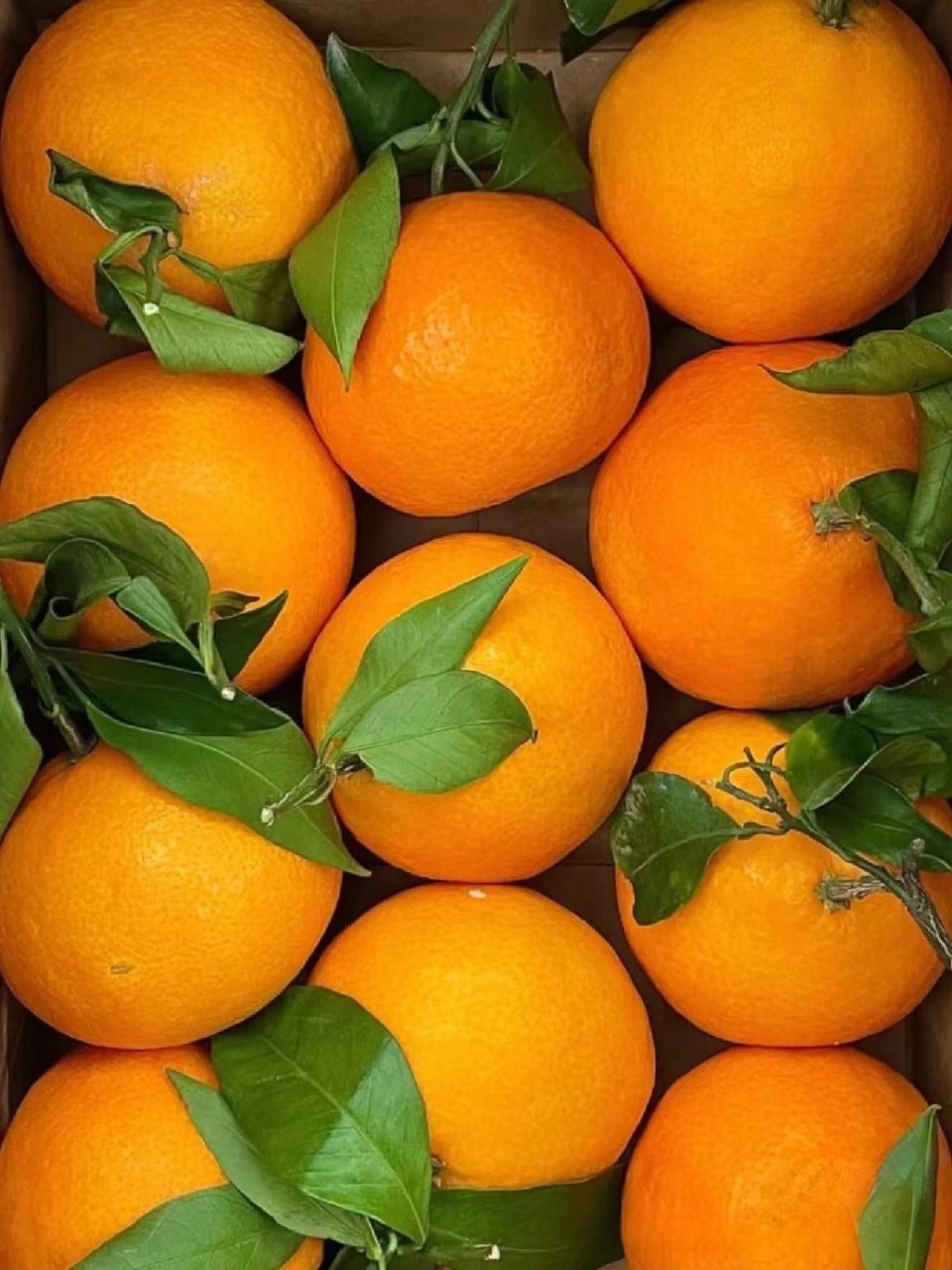 作为一名柑橘爱好者,我曾经尝试过无数的柑橘产品,但是当我品尝到爱媛