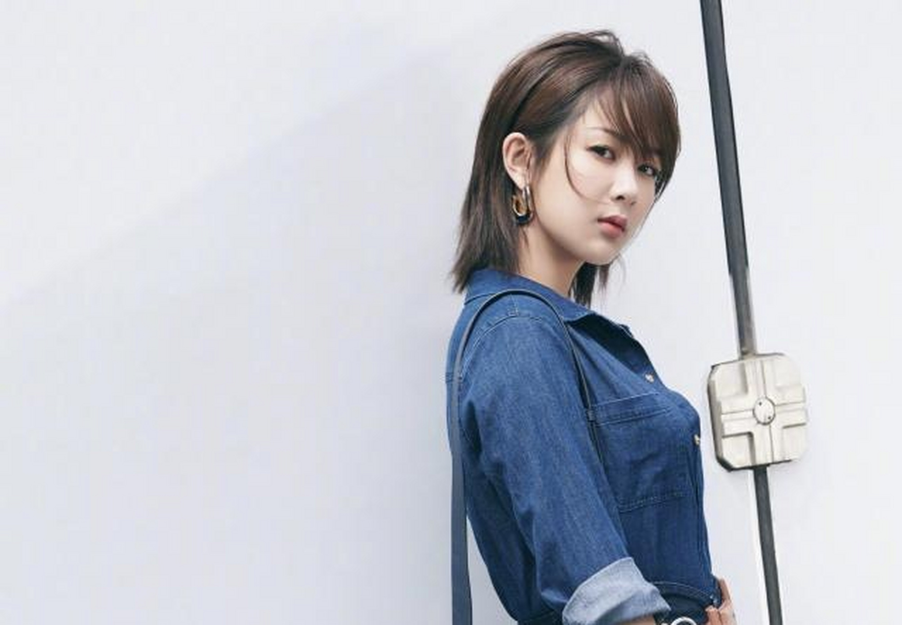 这部有望开拍的ip剧就是《壁花小姐奇遇记》,改编自同名热门ip的它