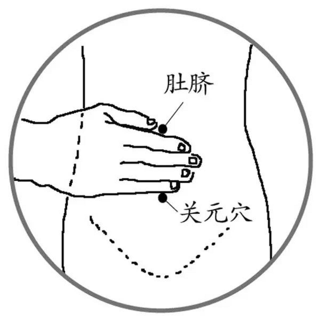 关元穴经常按揉,可提升精力,强壮腰肾 关元穴是人体的任脉穴位.