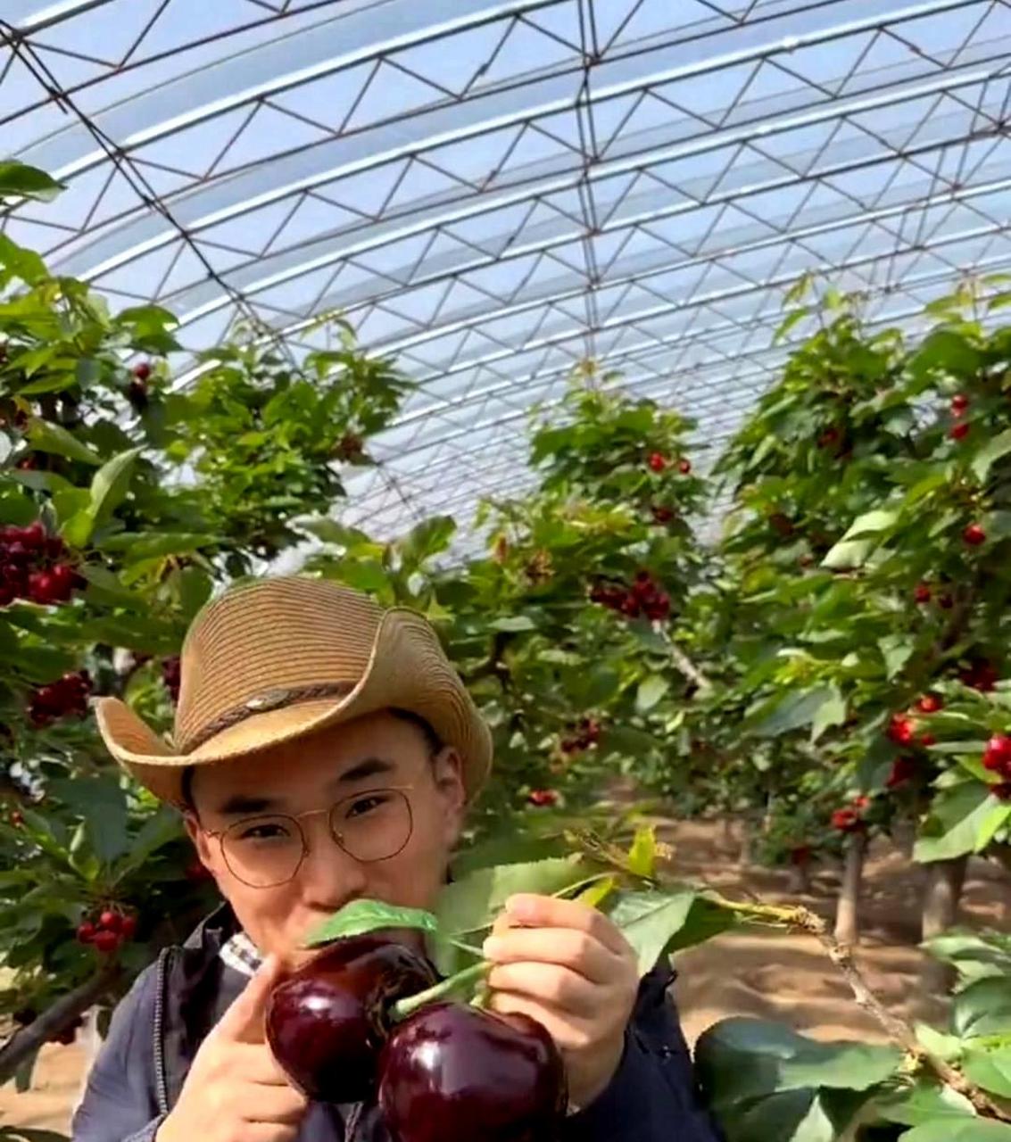 这颗巨大的车厘子价值几个勾呢?