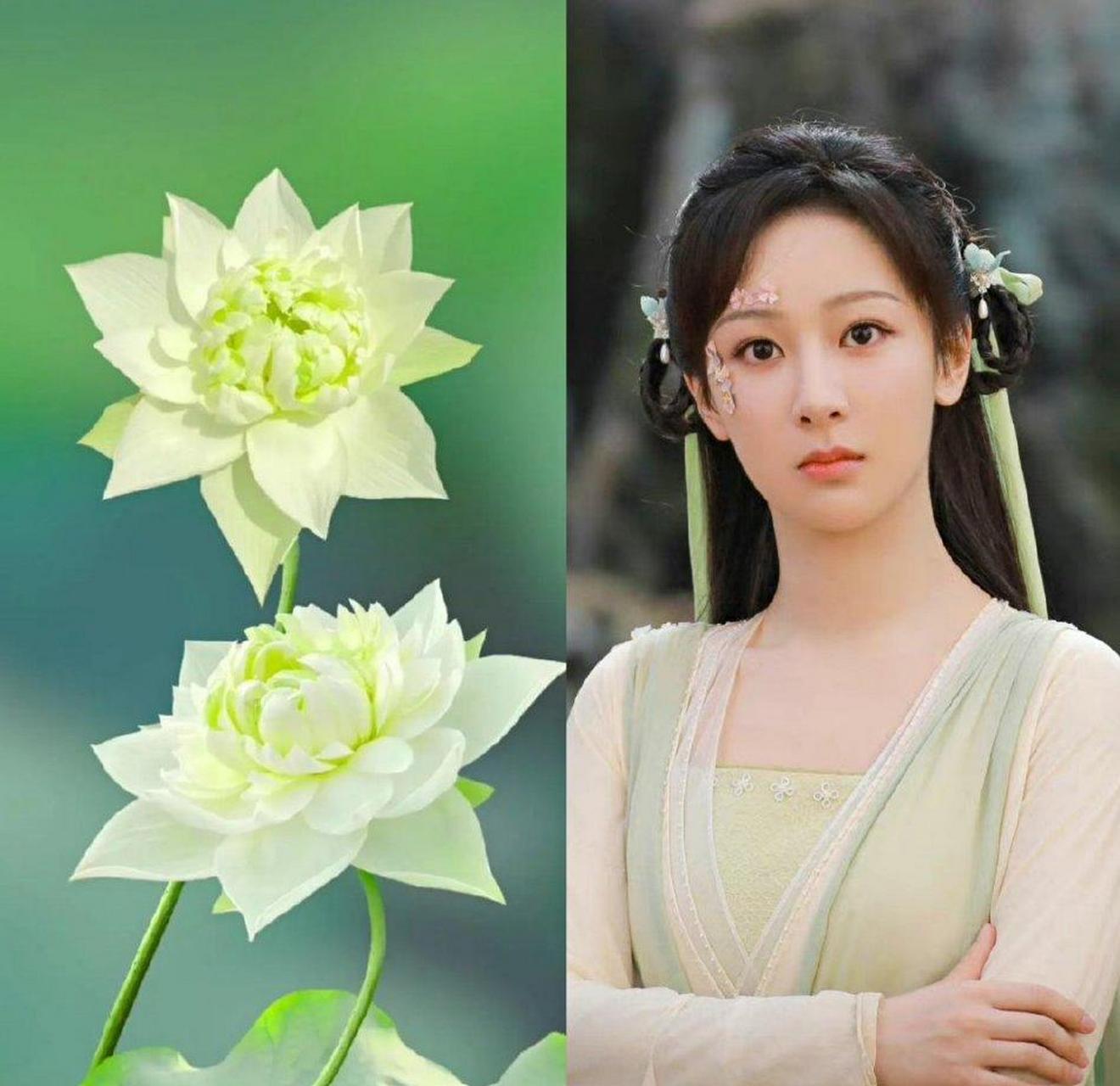 每种荷花色对应的衣服,穿在杨紫身上都美得不可方物!