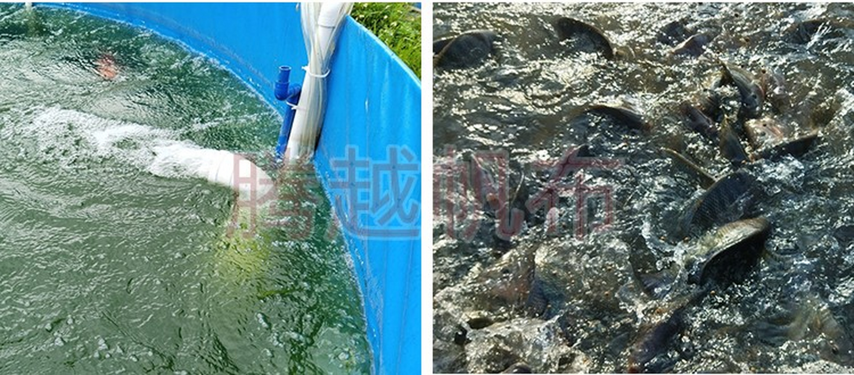 鱼池推水器是在水产#养殖 中的一个增加水体含氧量的设备,近两年很多