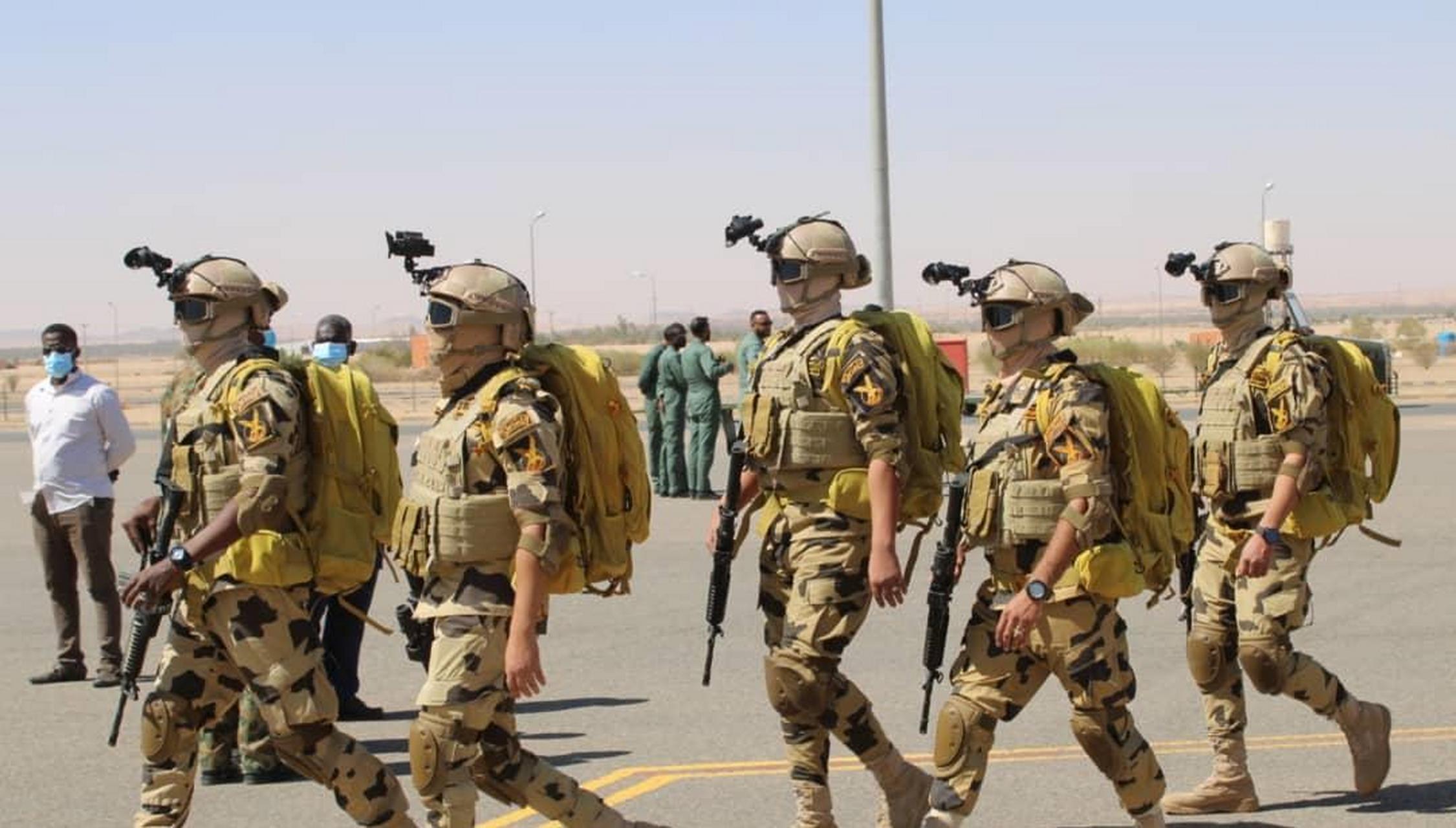 参加演习的埃及"迅雷"特种部队被苏丹快速支援部队抓获 埃及特种作战