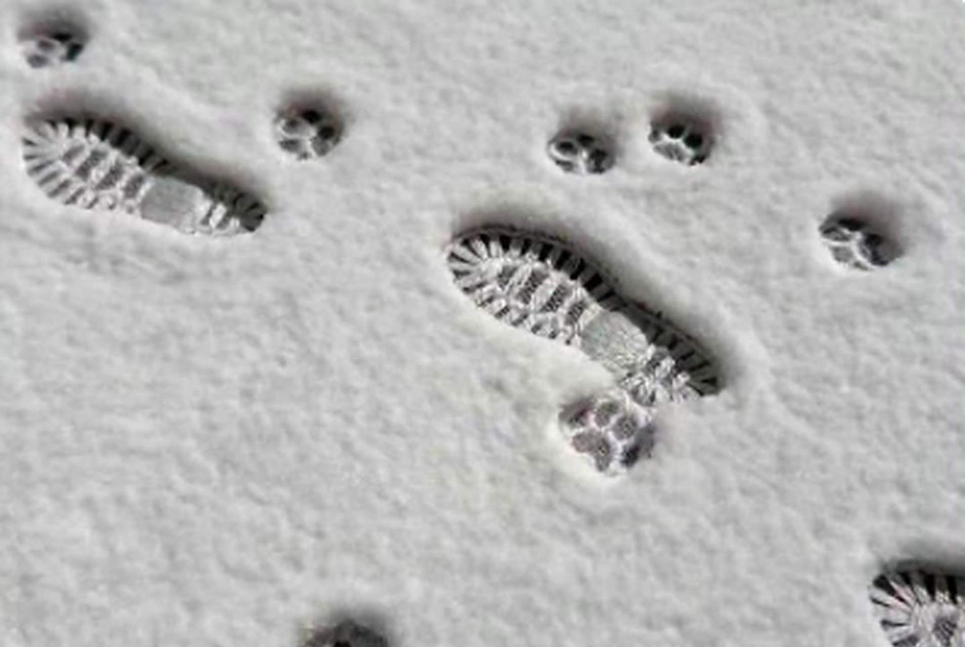 在雪地上留下的脚印竟然是刺绣制成的!