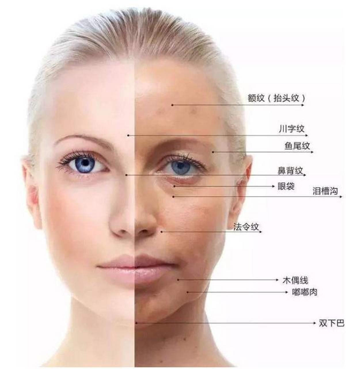 为什么要祛除皱纹呢英文(为什么要祛除皱纹呢英文怎么说)