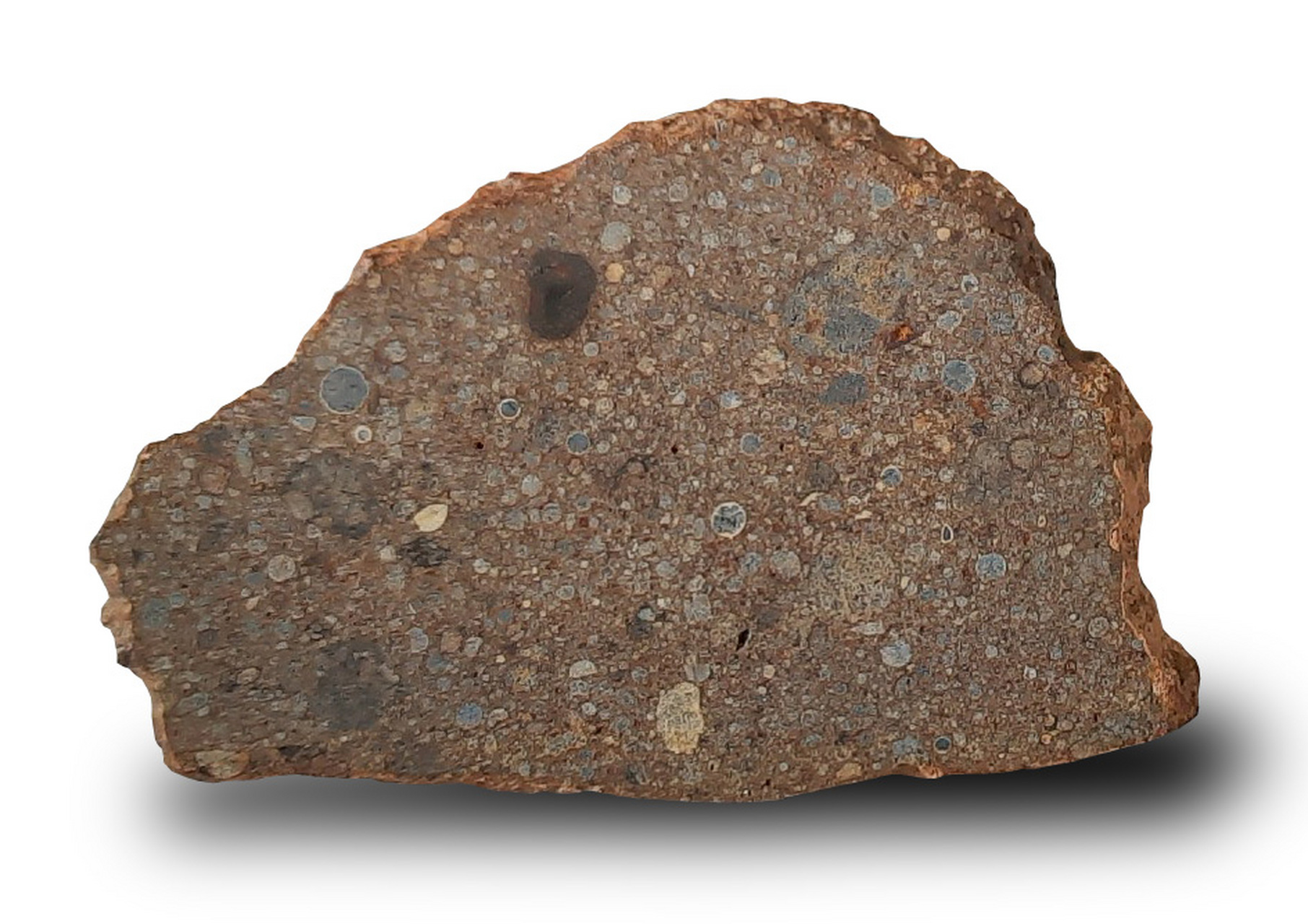 分享一块2018年发现于西北非的普通球粒陨石切面(nwa 13935),类别为ll