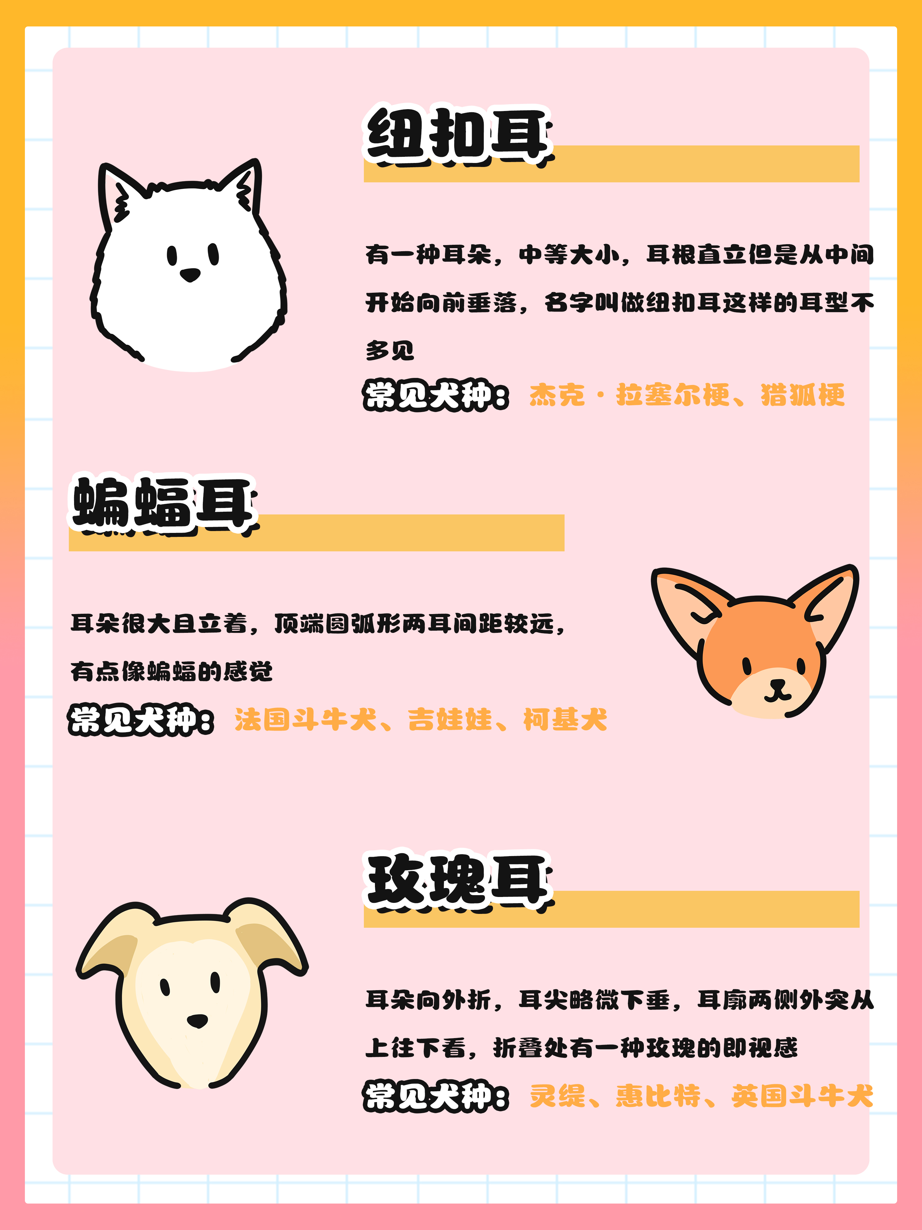 狗狗的耳朵类型分哪几种?