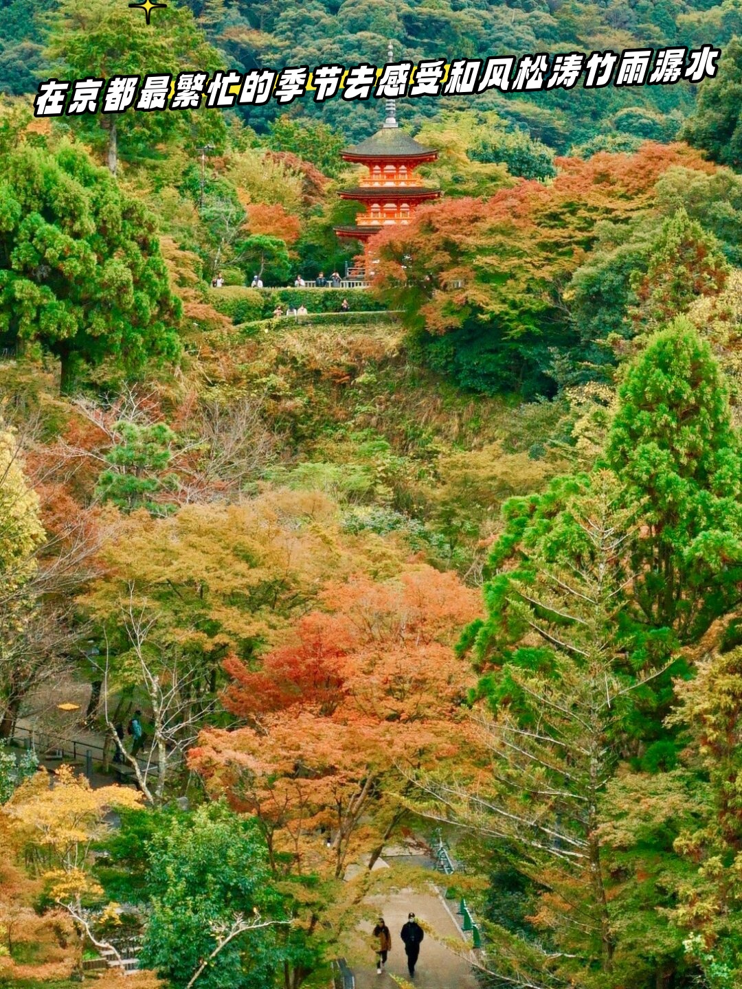 京都天气