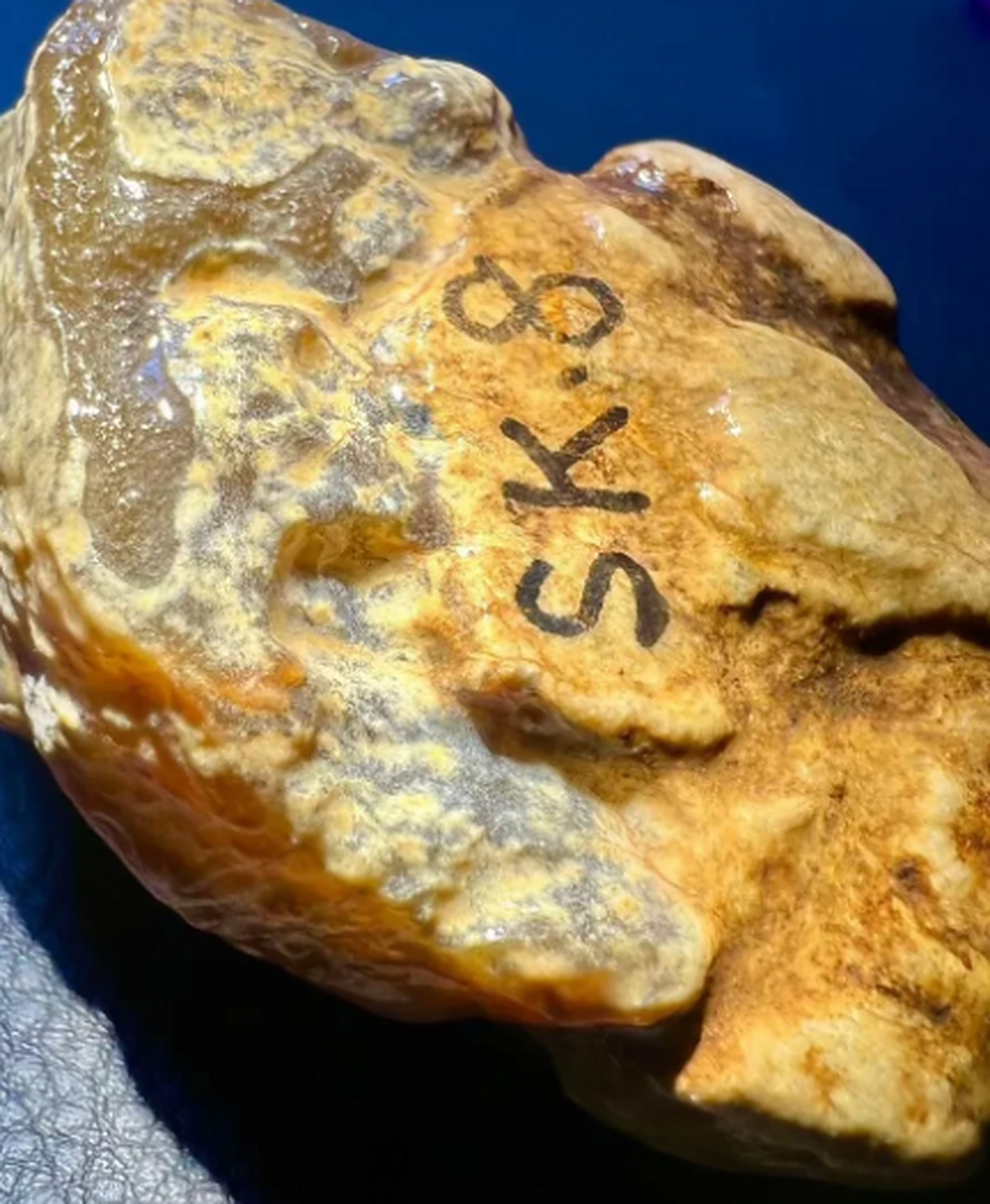 点击头像看直播##翡翠原石#特色料大马坎黄翡,随型雕带皮雕花雕都不