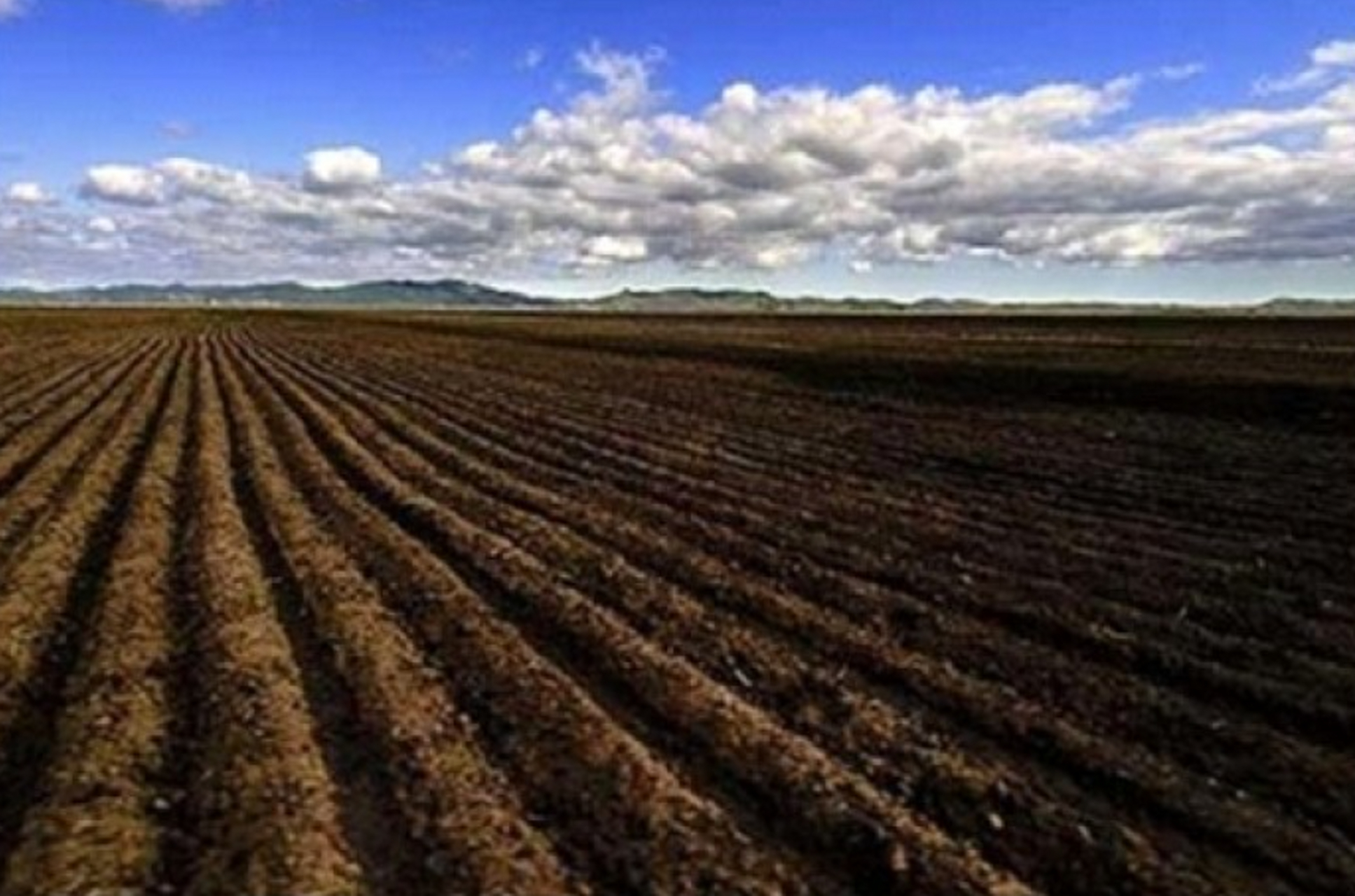 绿色化学品# 聚天冬氨酸(分子量>2500,约占总量的75%)的长链上游离着