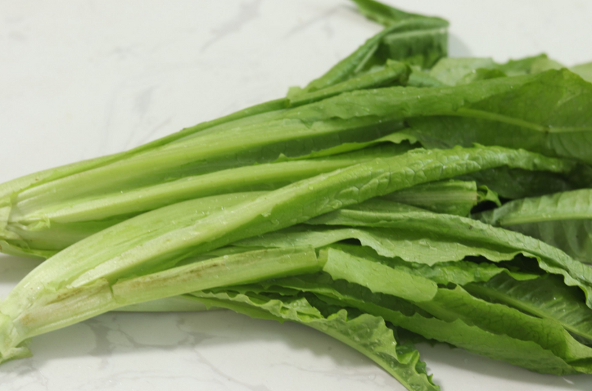 油麦菜别称莜麦菜,苦菜.