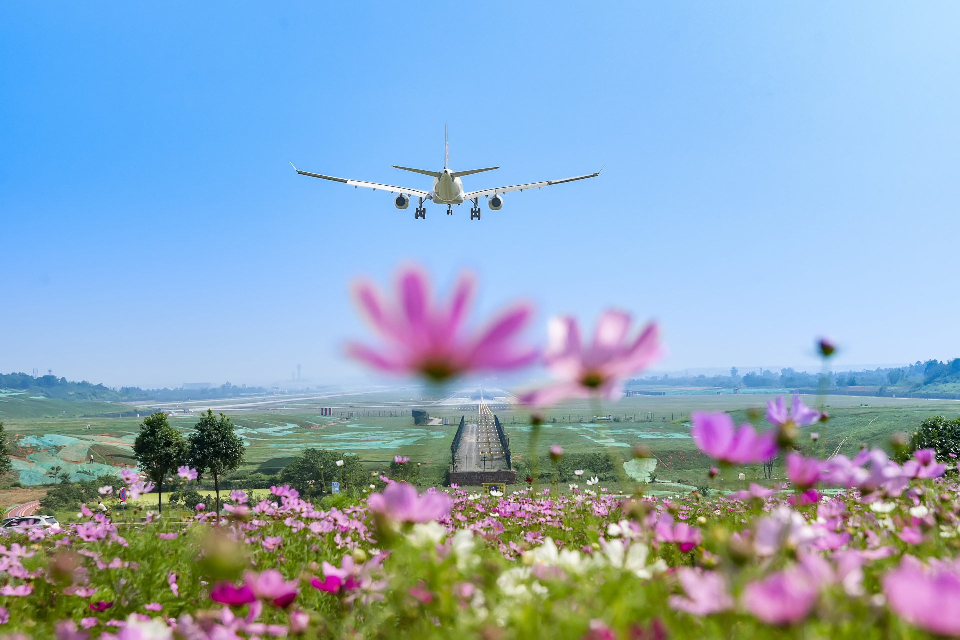 空港花园成都图片