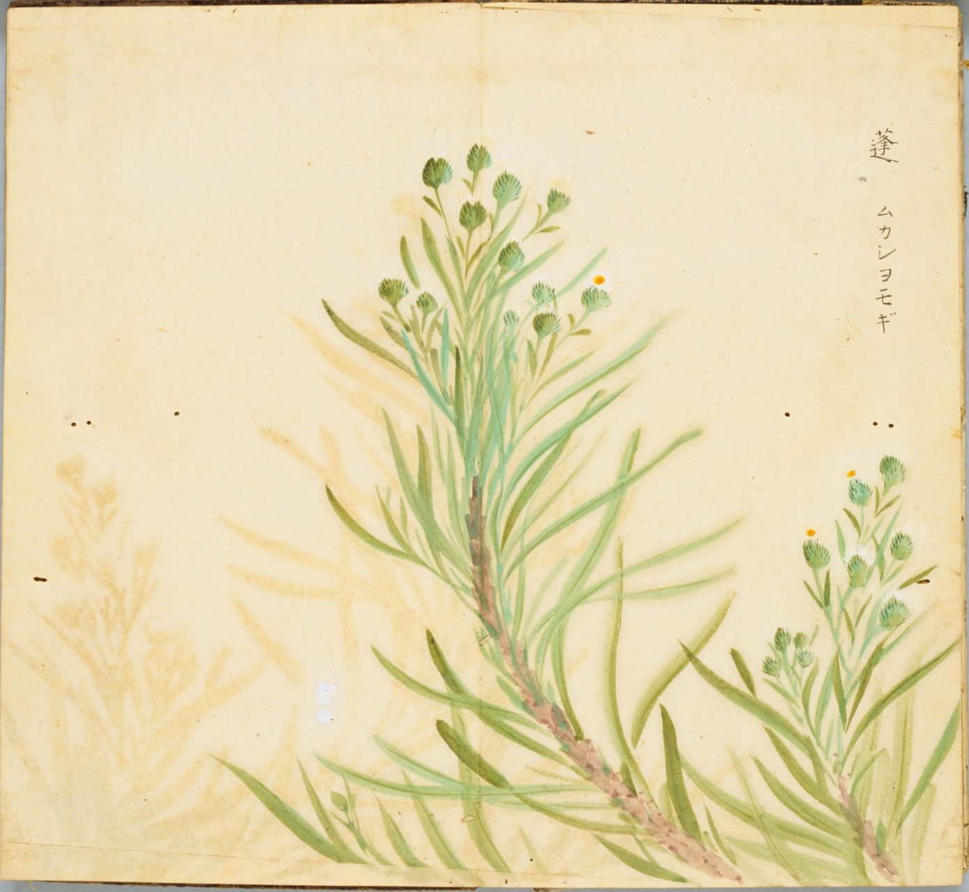 《诗经名物图解》赏析.
