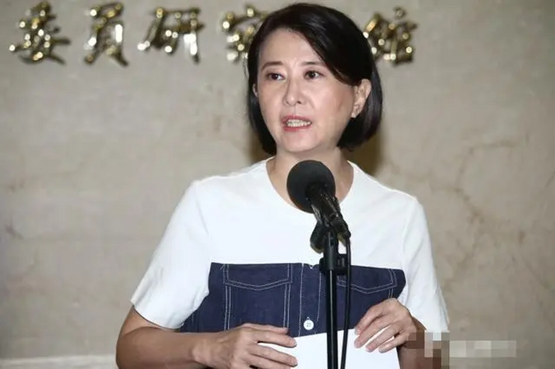 国民党女战神王鸿薇出手,剑指赖清德背后的"新潮流",或成扭转2024选战