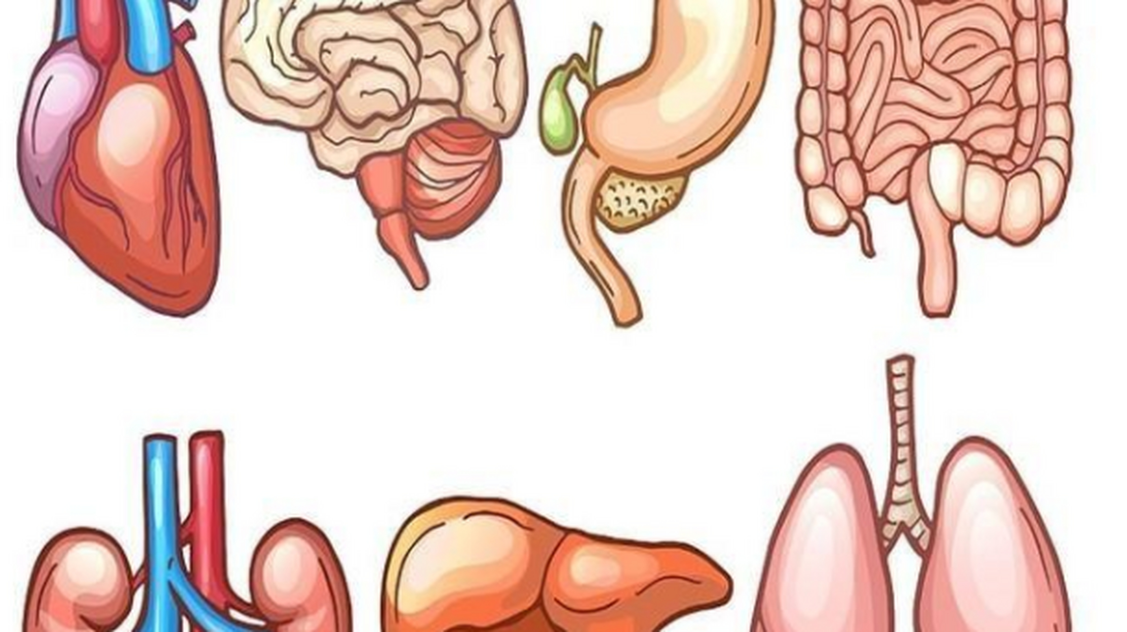 中医认为人体的各个部位与内脏器官有着密切的联系