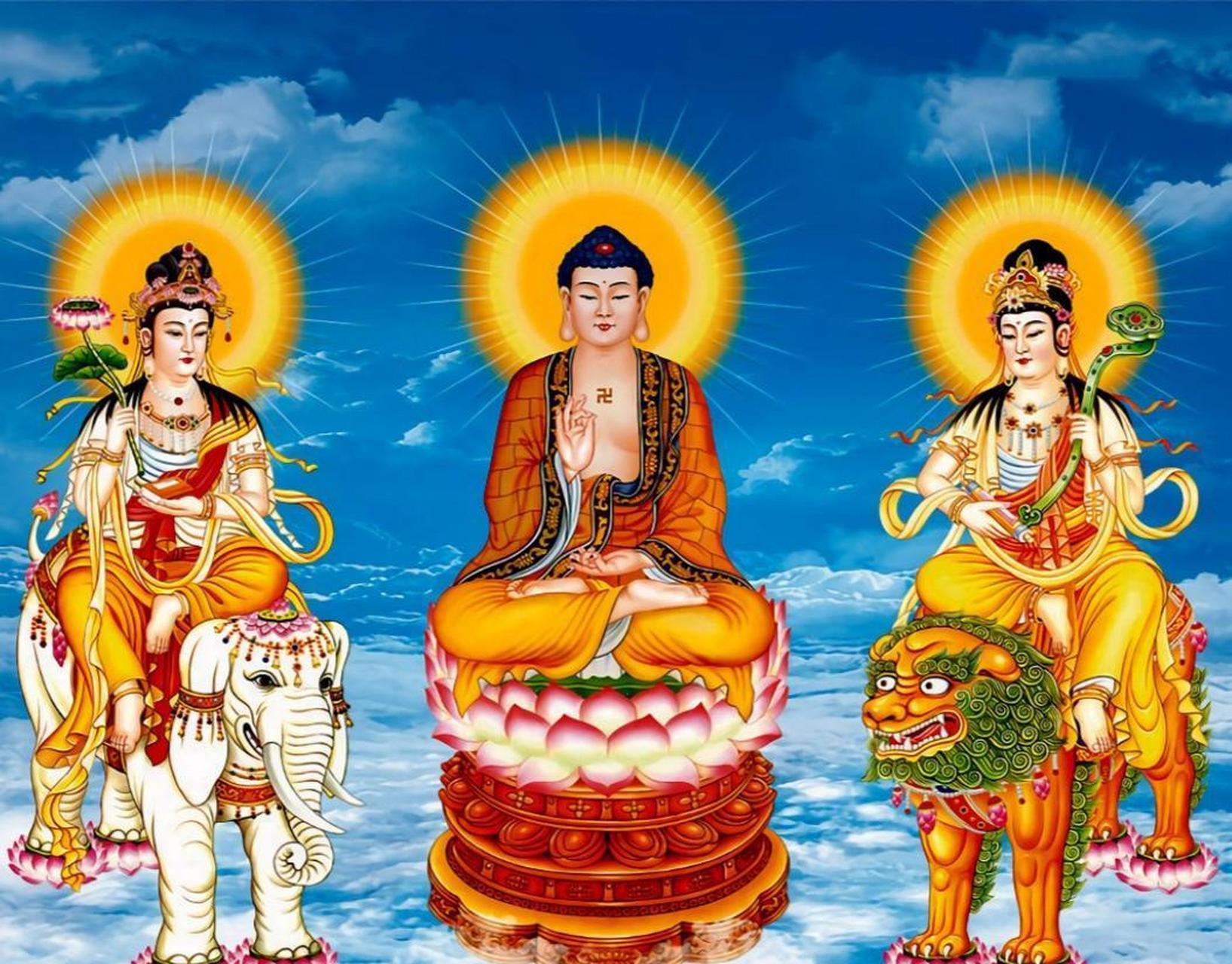 药师佛全称为药师琉璃光如来,又有人称谓大医王佛,医王善逝或消灾延寿