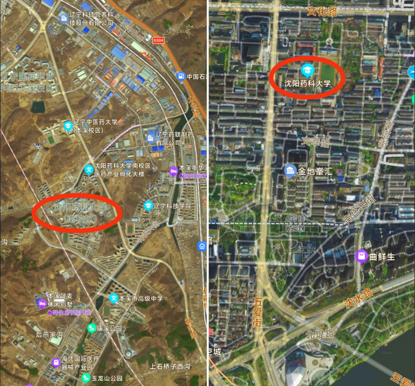 看到沈阳某热心市民期待沈阳药科大学从本溪石桥子搬到沈阳,我的内心