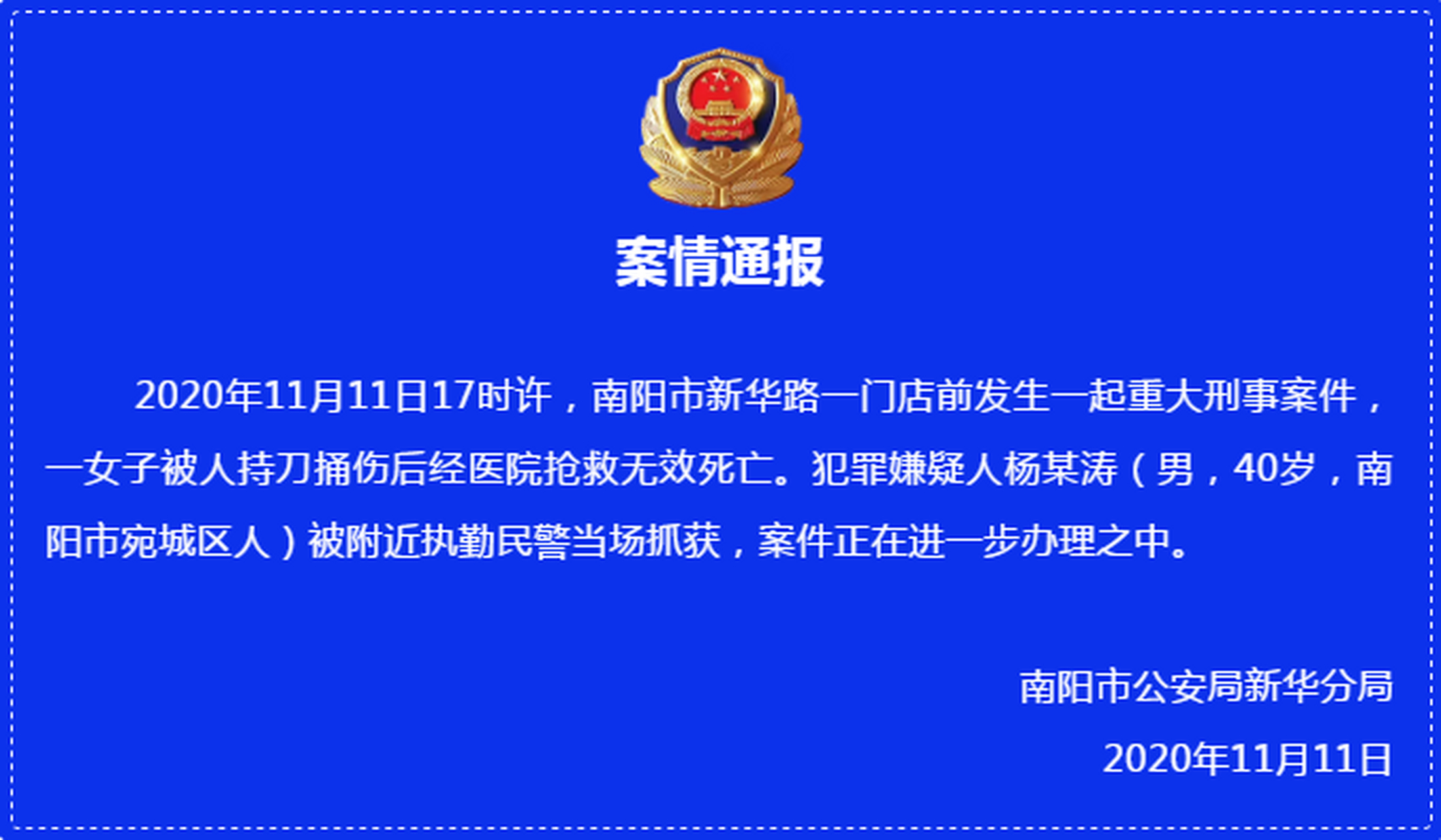 11"重大刑事案件的情况通报 案情通报 2020年11月11日17时许,南阳市