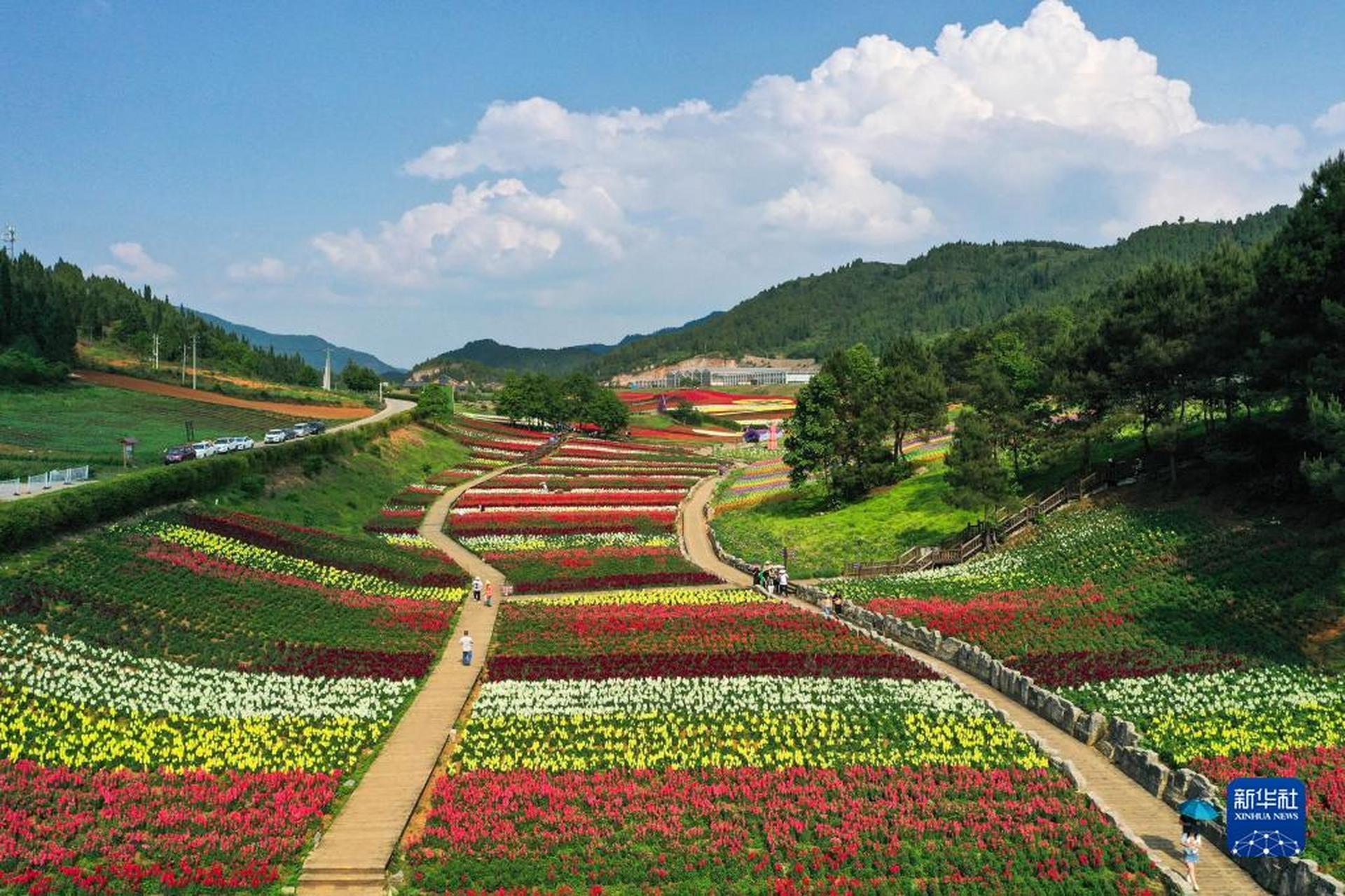 【贵州好"丰"景】初夏时节,贵州省黔东南苗族侗族自治州麻江县宣威镇