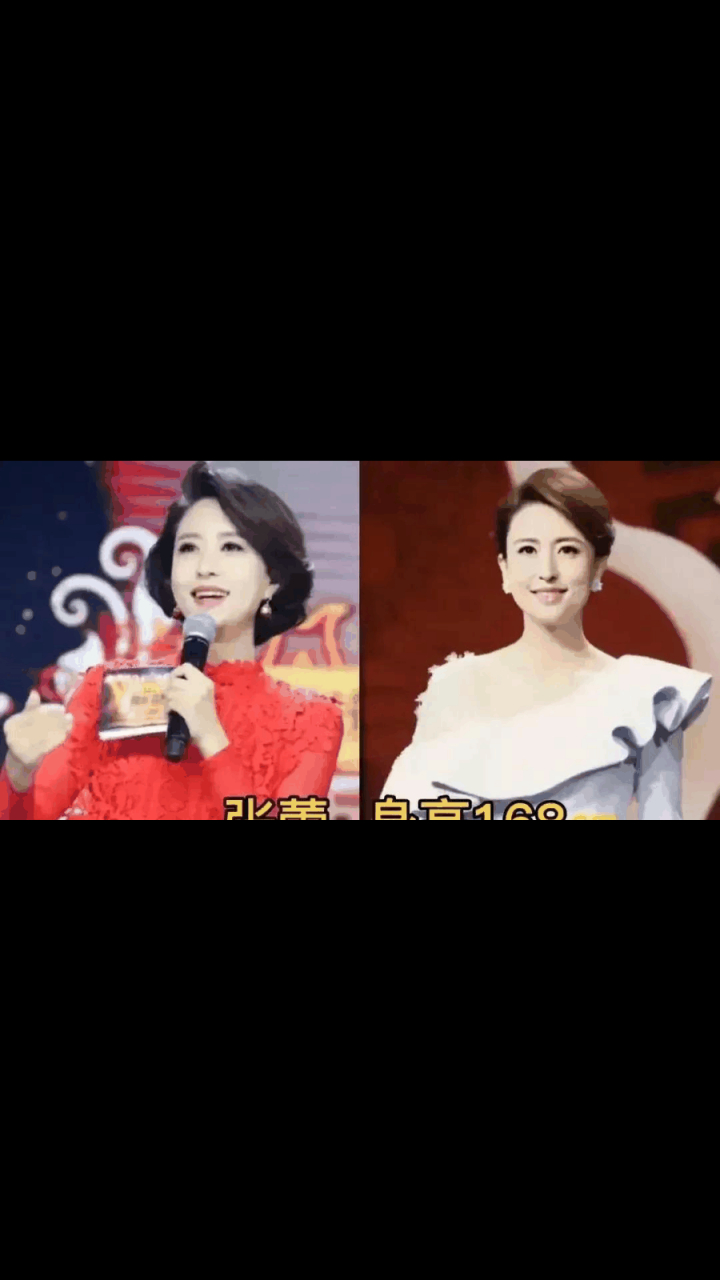 gif创作人# 李思思:身高170 马凡舒:身高172 董卿:身高169 龙洋:身高