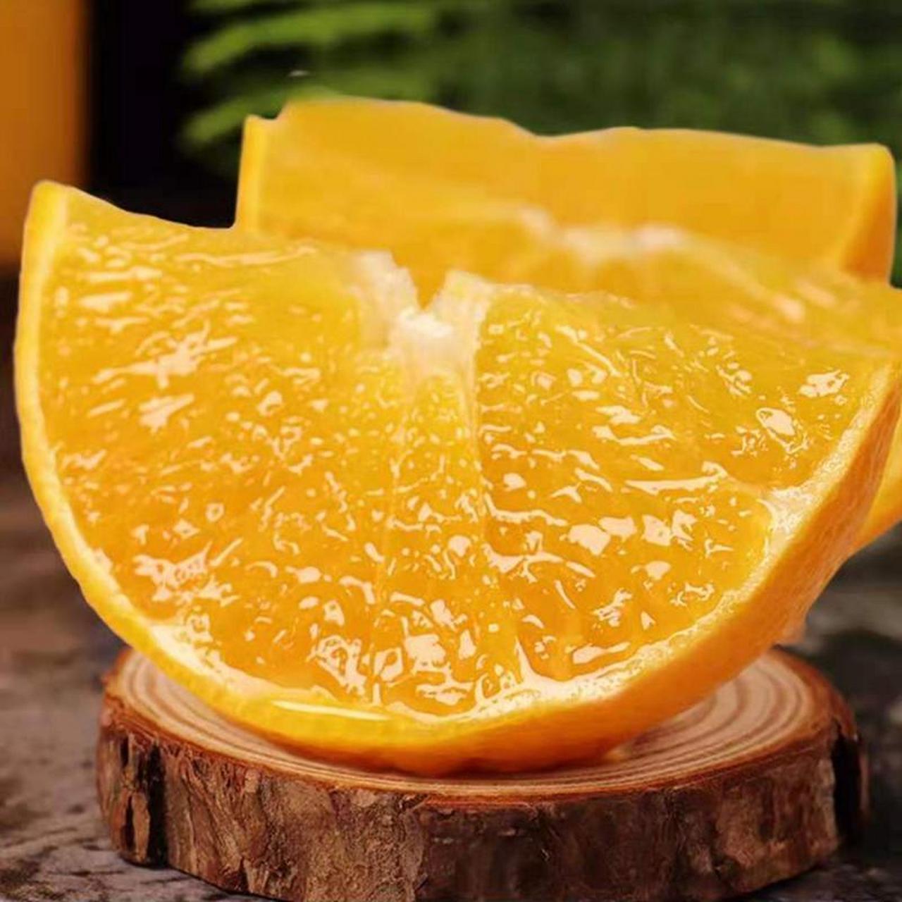 【年华专享】正宗伦晚脐橙秭归长江三峡鲜橙现摘现发5斤9斤包邮  92