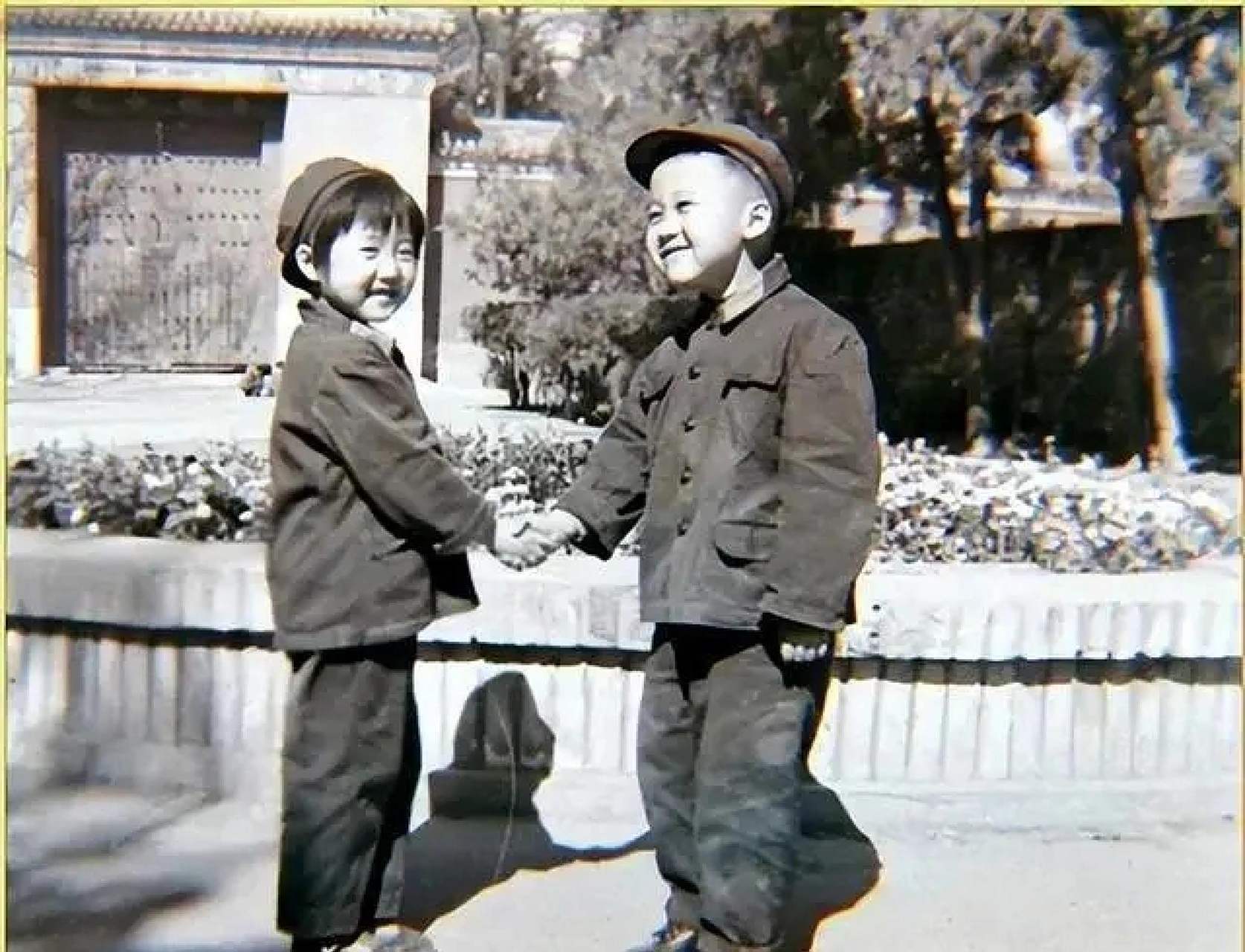 两个小大人握手打招呼,两个小朋友的表情都很滑稽,尤其是那个害羞