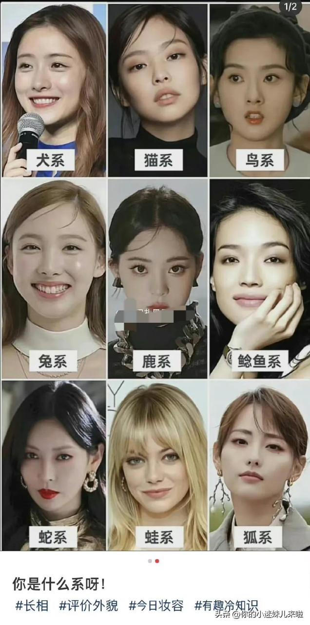 的长相也可以分成动物系,宋祖儿是鸟系,舒淇是鲶鱼系,欧阳娜娜是鹿系