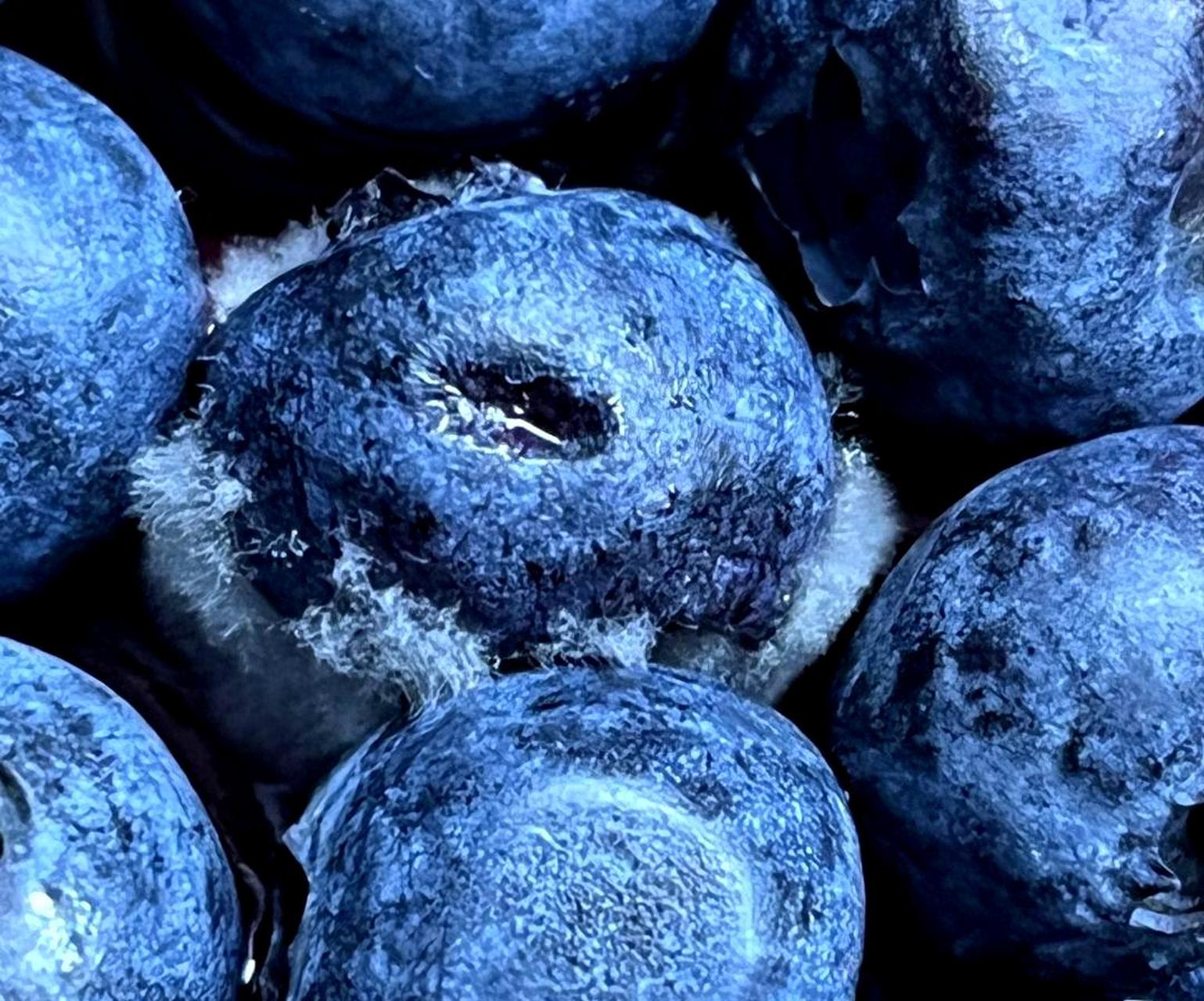 一颗坏果毁了我买的蓝莓蛋糕,让我失去了一整天的好心情,无法享受美食