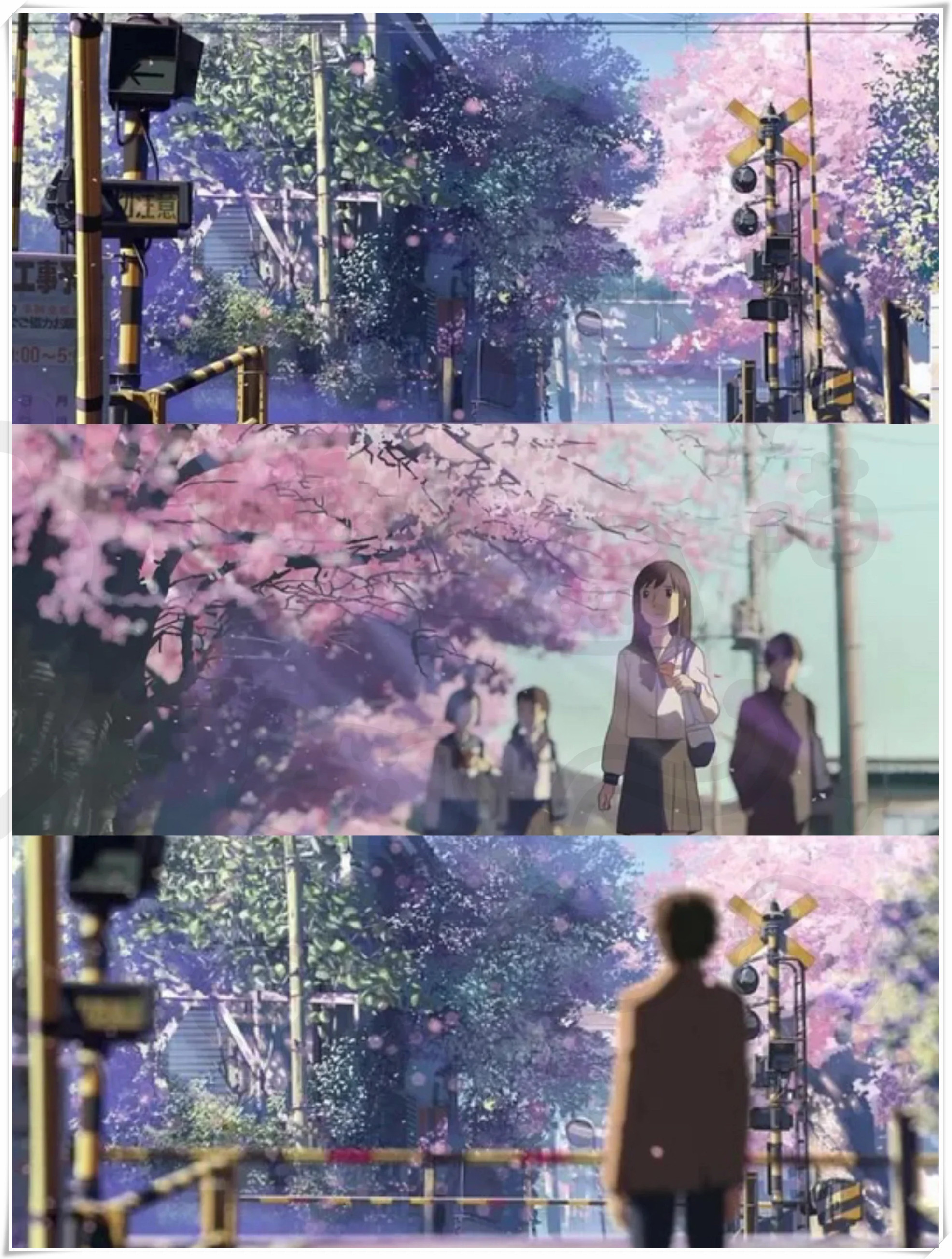 它叫《秒速五厘米》,每次看到樱花飘落的场景,就会让你心头涌起殷阵