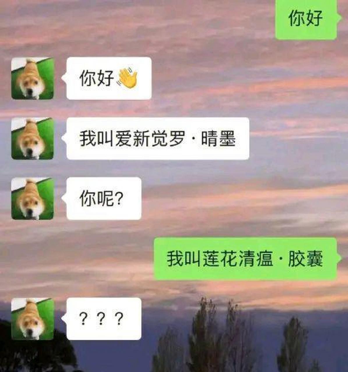 相亲尴尬聊天记录截图图片