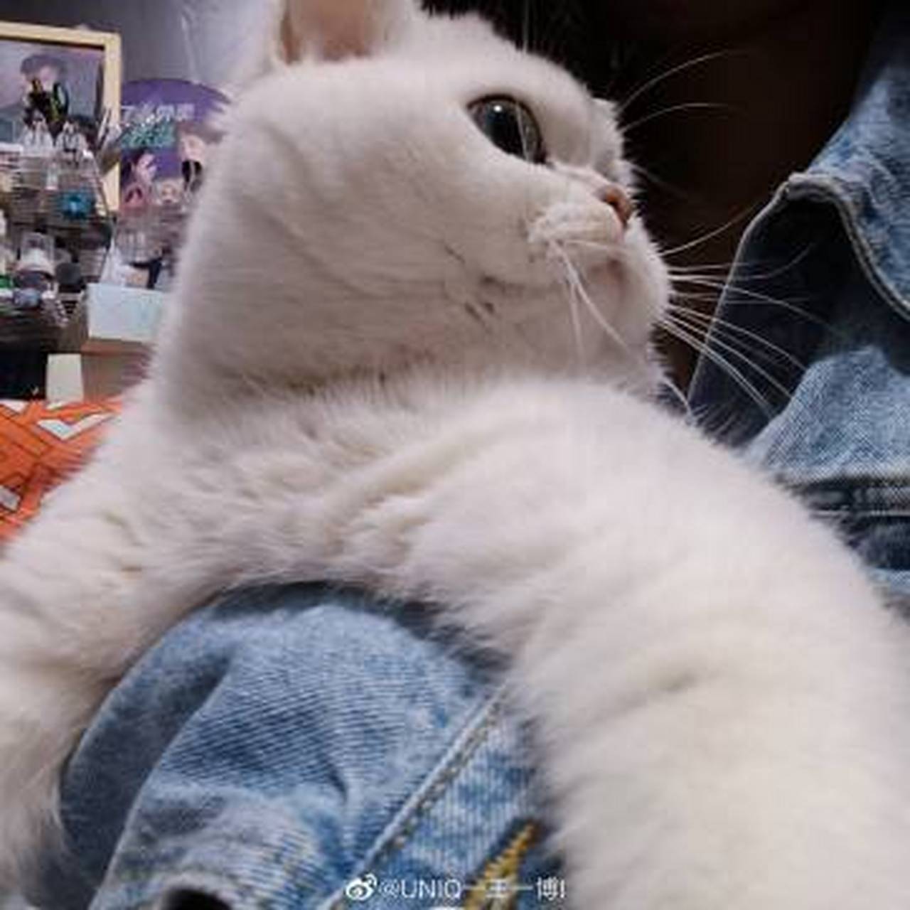 外面7度 我的怀里37度