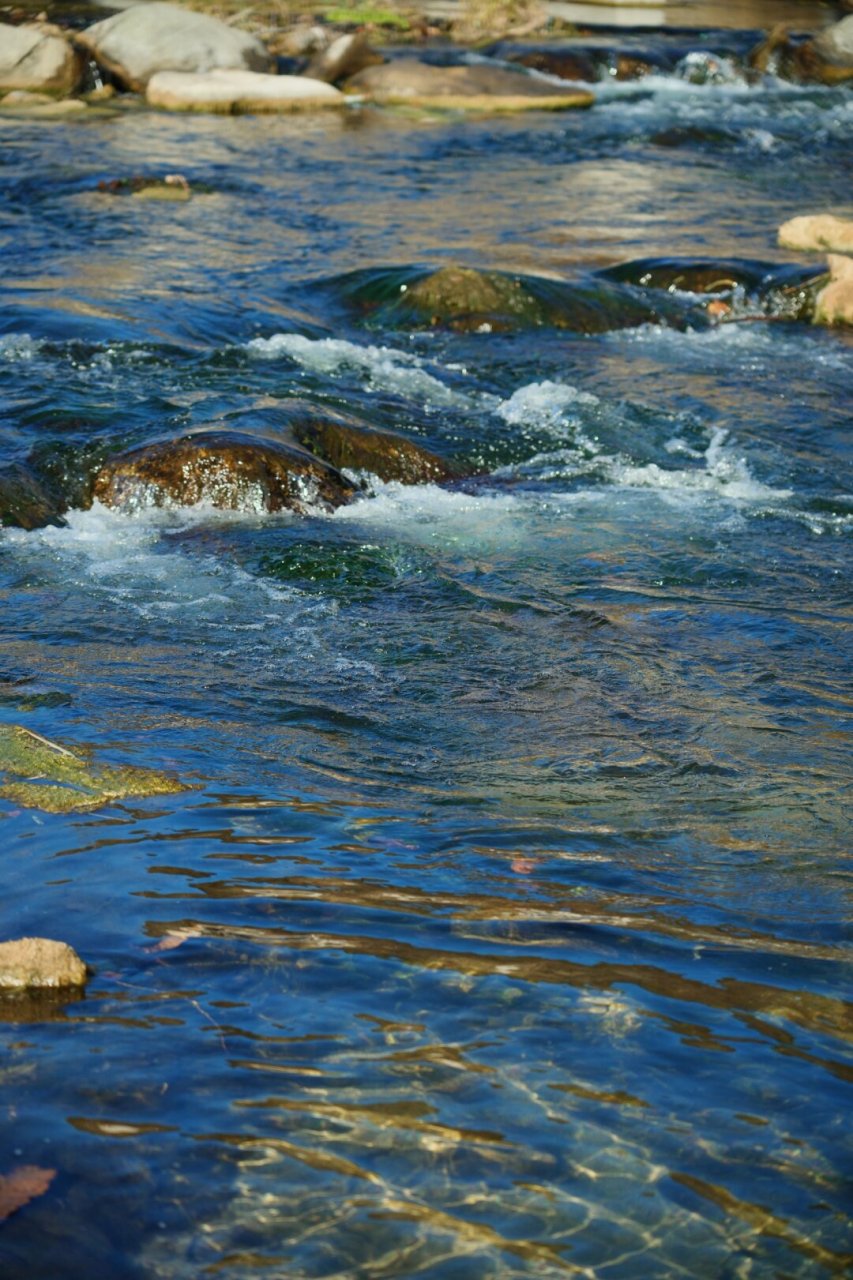 国贸1h亲子友好森林溪水边轻徒步  离城市很近,这里的河水清澈如玻璃