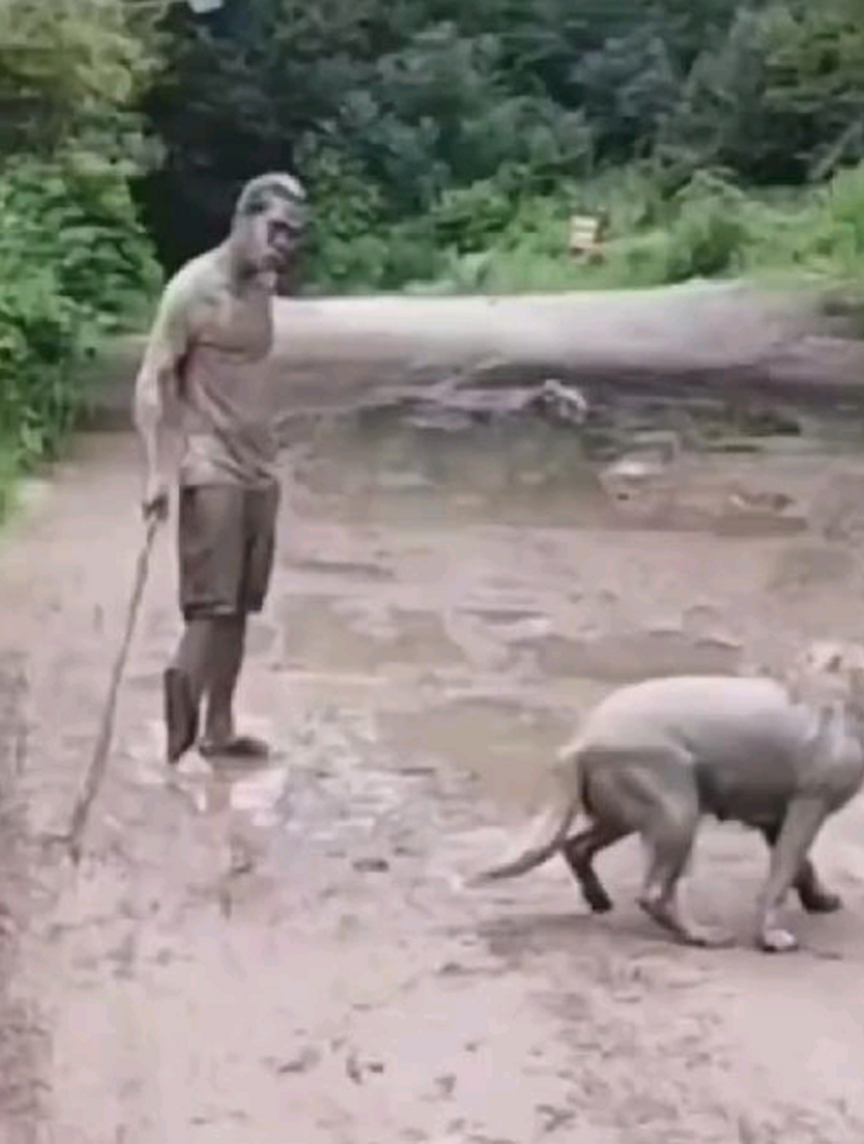 我的快乐,会回来的