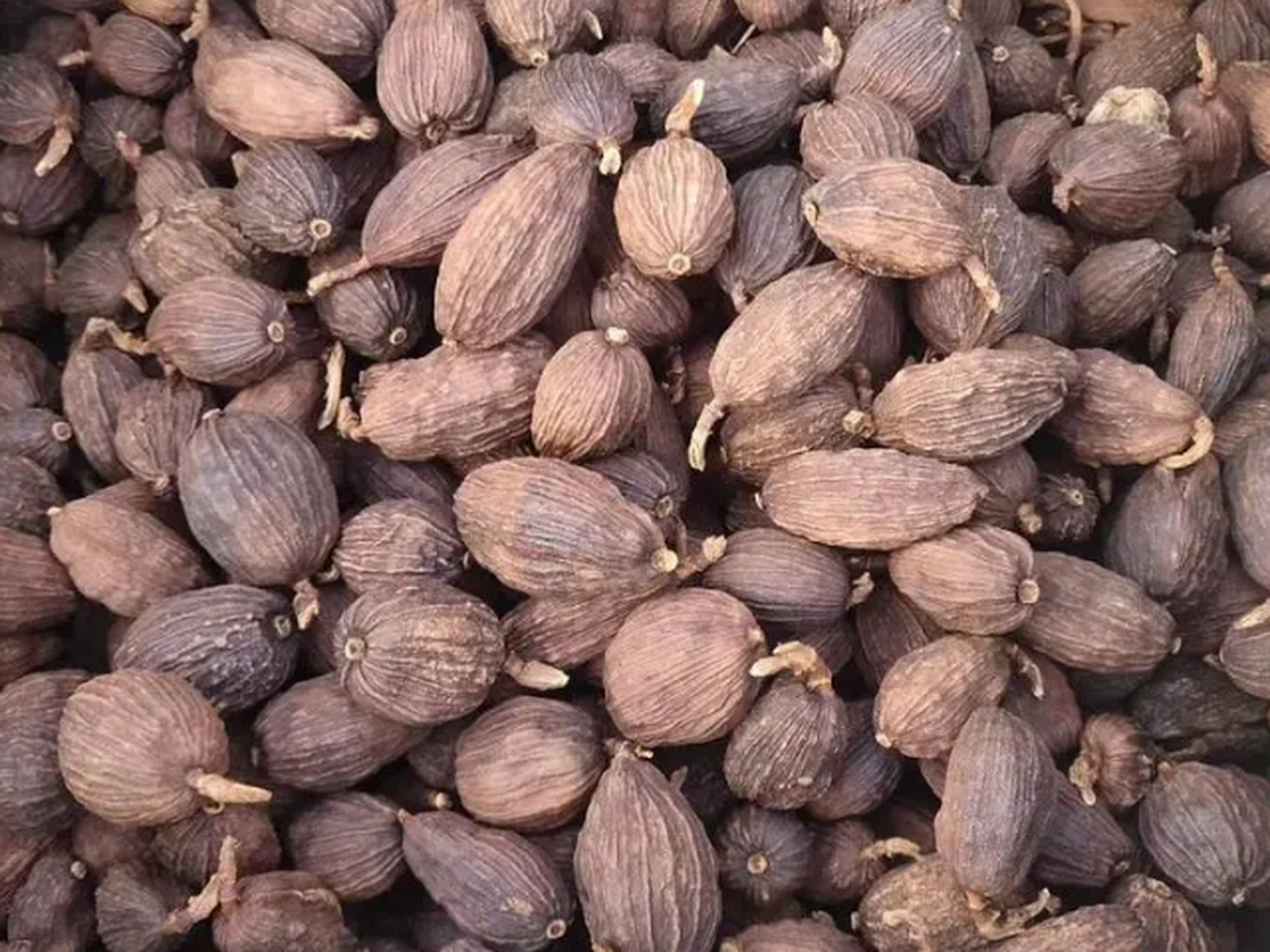 炒菜必备调料 草果:草果很强去腥,除异味作用,它的口味让食材吃起来