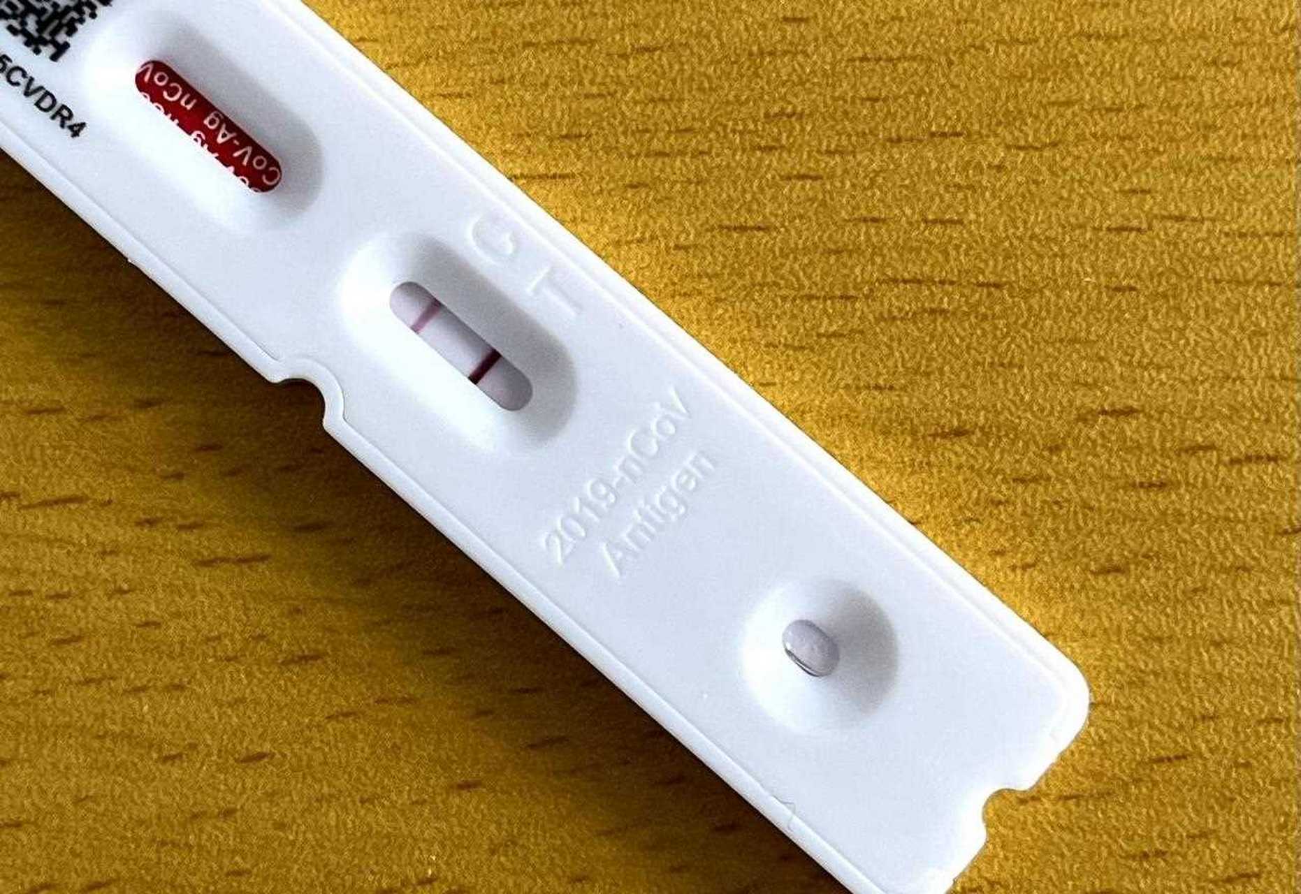 说车酱最近也阳了,在家里躺了几天,不过发现不少博主们都住到自己的新