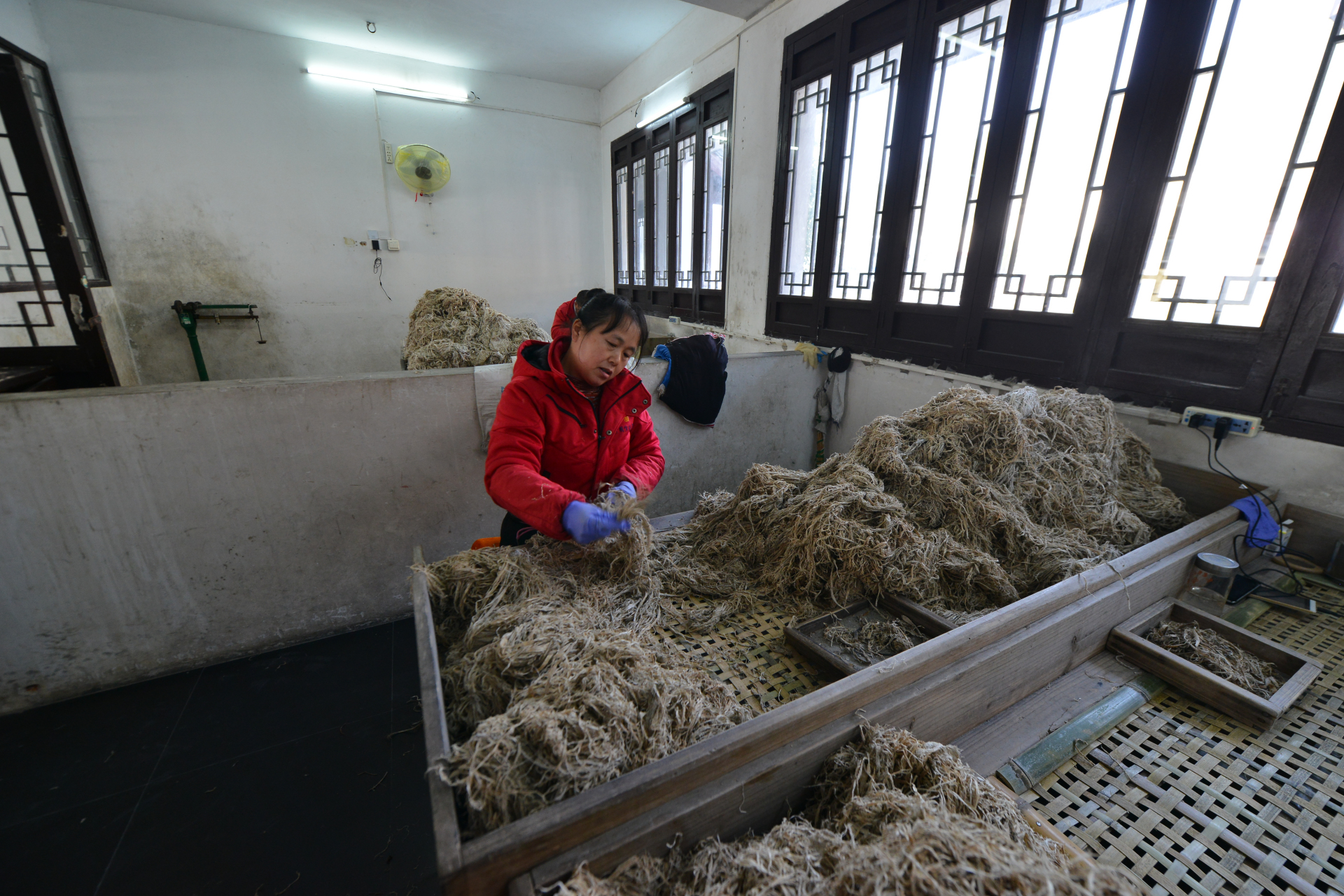 红星宣纸的生产过程.