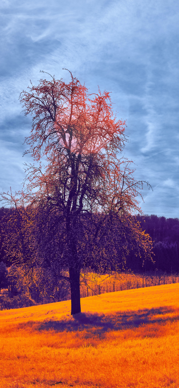 精选iphone15 pro景深壁纸[走你] #九月动态激励计划# #手机壁纸