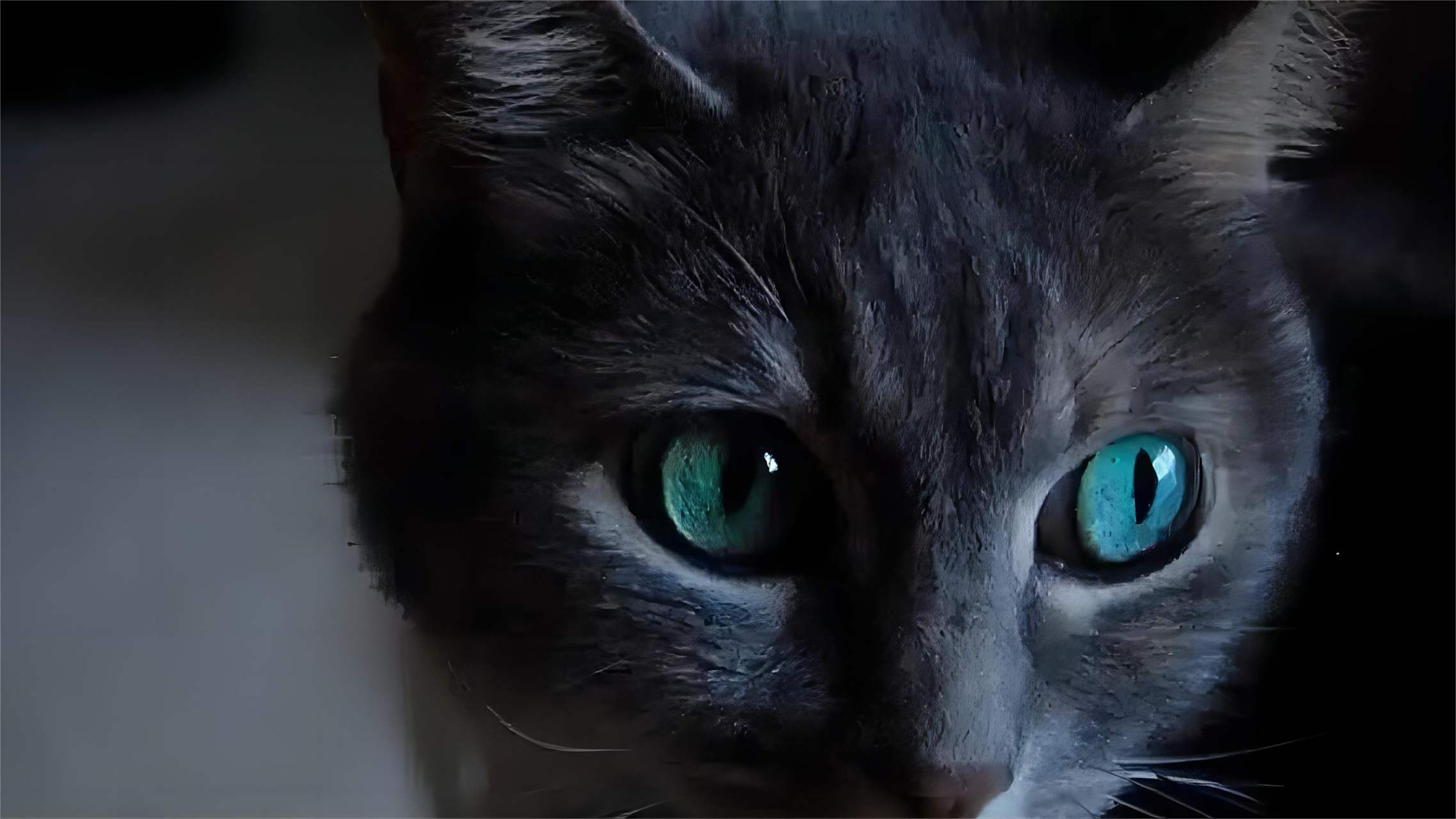 猫咪的夜视能力超乎寻常,这是由于它们