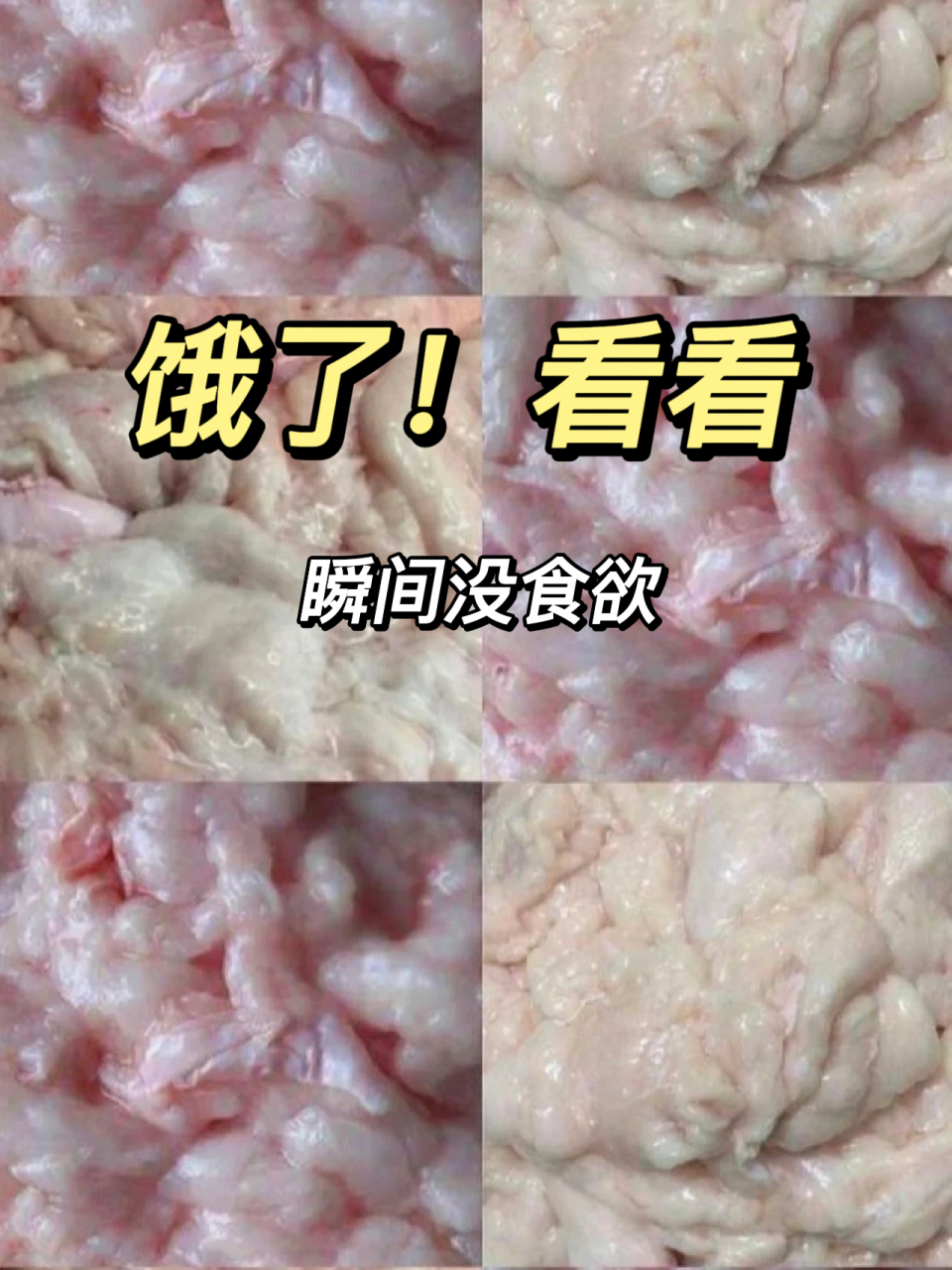 饿了 看看75瞬间没食欲  738个抑制食欲小方法,收藏备用:  97看