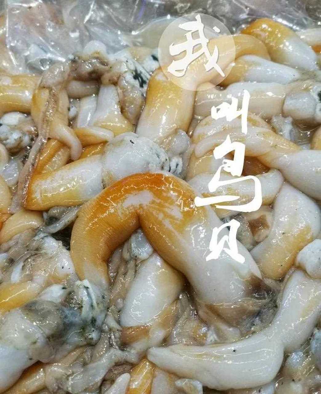 大海鲜饱眼福,多吃腻口, 小海鲜饱口福,久食不厌
