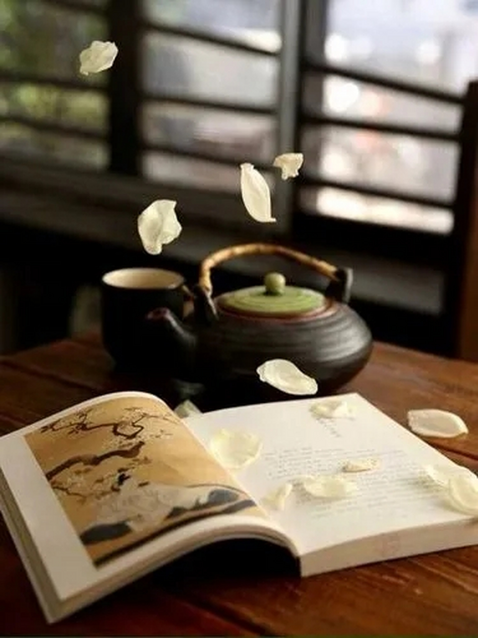 不知道有多少人读过宋朝诗人叶采的诗《暮春即事》,全诗如下: 双双瓦