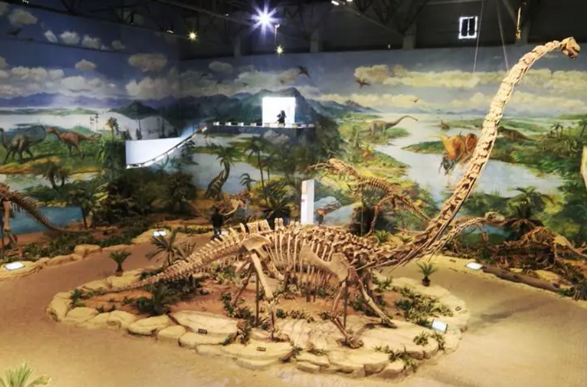 重逢巴蜀# 自贡恐龙博物馆位于四川自贡市,是中国规模最大,体系最