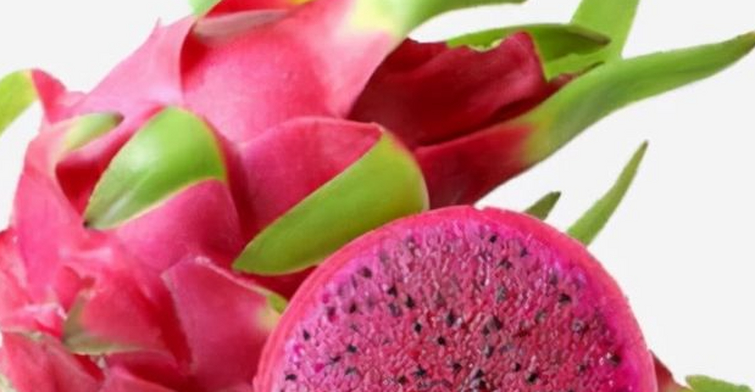 黄樱桃 诸城黄樱桃是一类樱桃,它的果实较大,多为圆球形,果皮为橘黄色