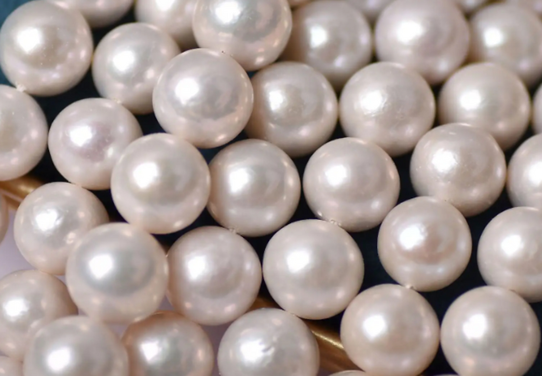 所以天然珍珠和人工养殖珍珠,包含着人与自然的关系