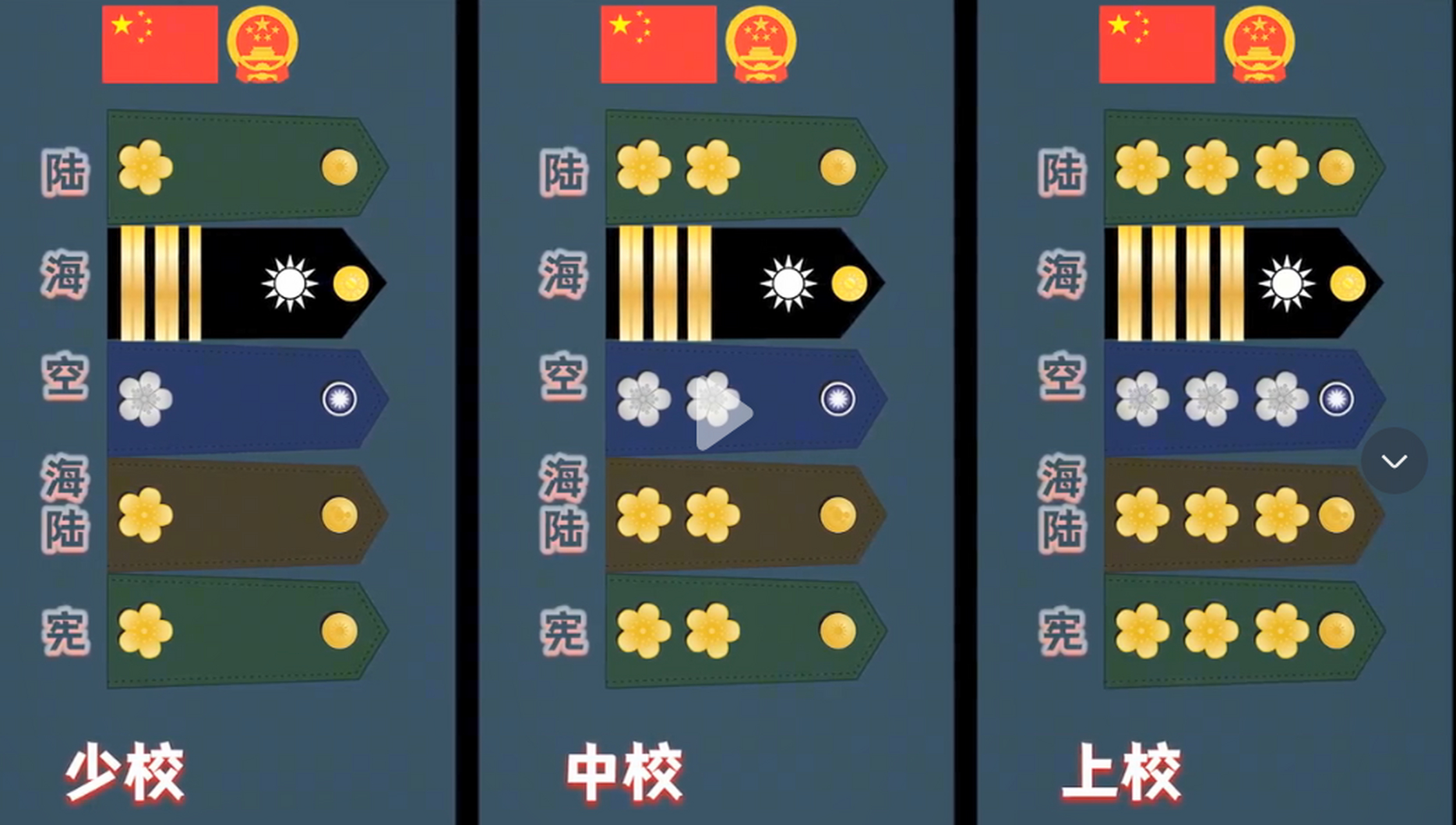 看看我国台湾省的军衔是什么样的图案吧,怎么我总感觉收复台湾不远了.