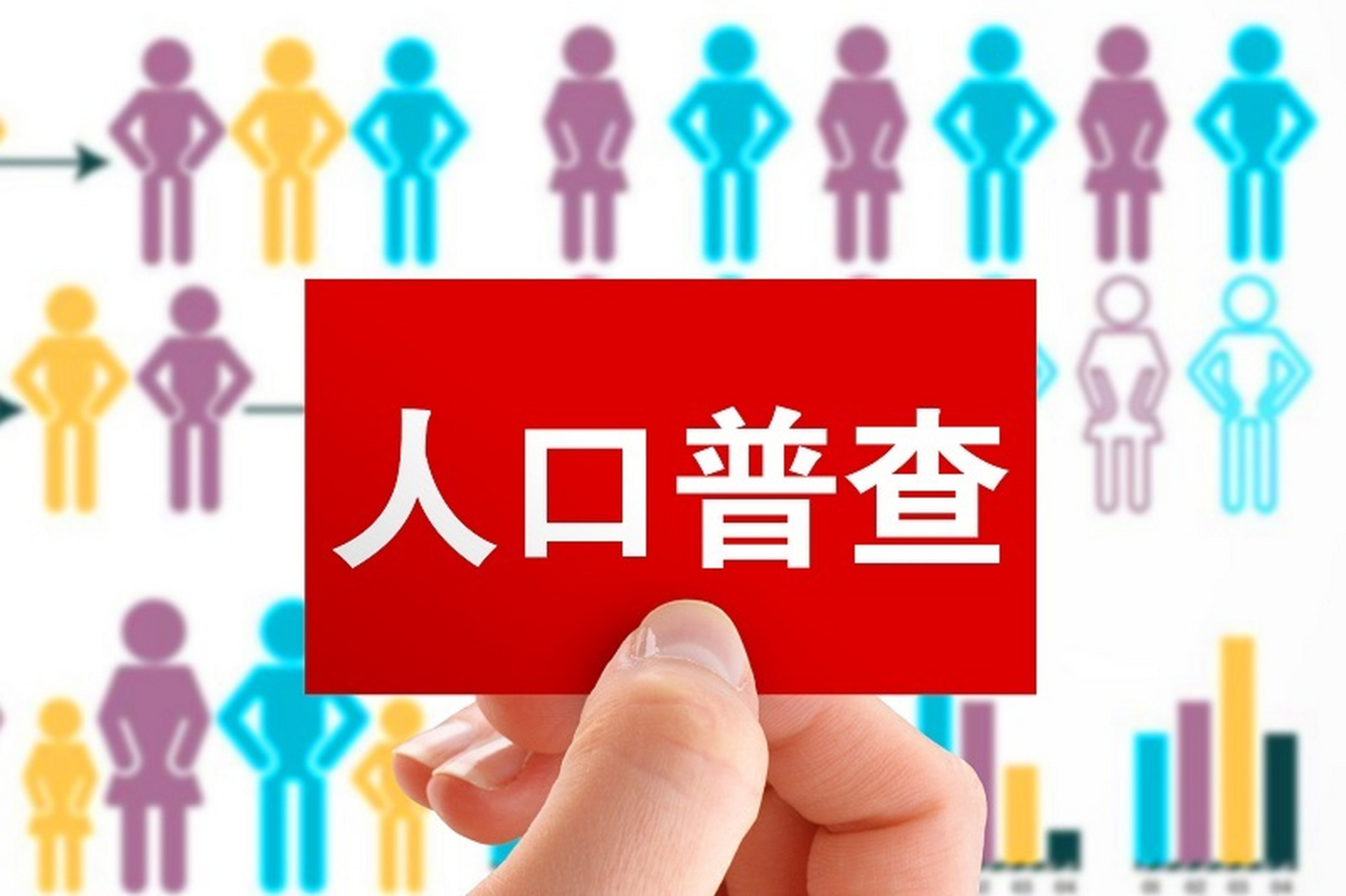 人口普查2021图片