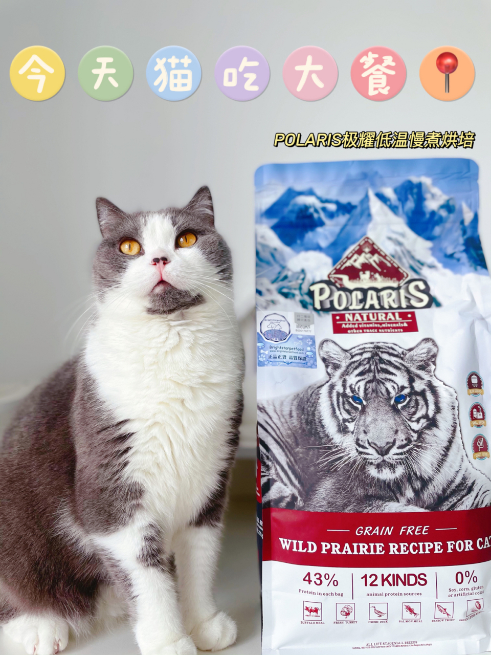 polaris极耀猫粮 多猫家庭对选择猫粮会非常的小心谨慎,因为对猫咪来