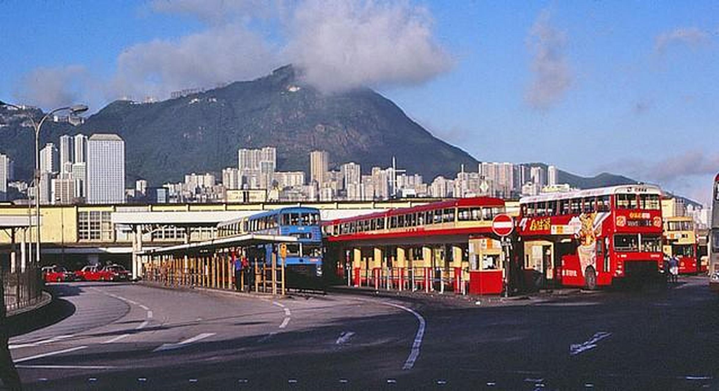 领动计划# 老照片:外国游客拍摄1983年的香港,美丽的维多利亚港