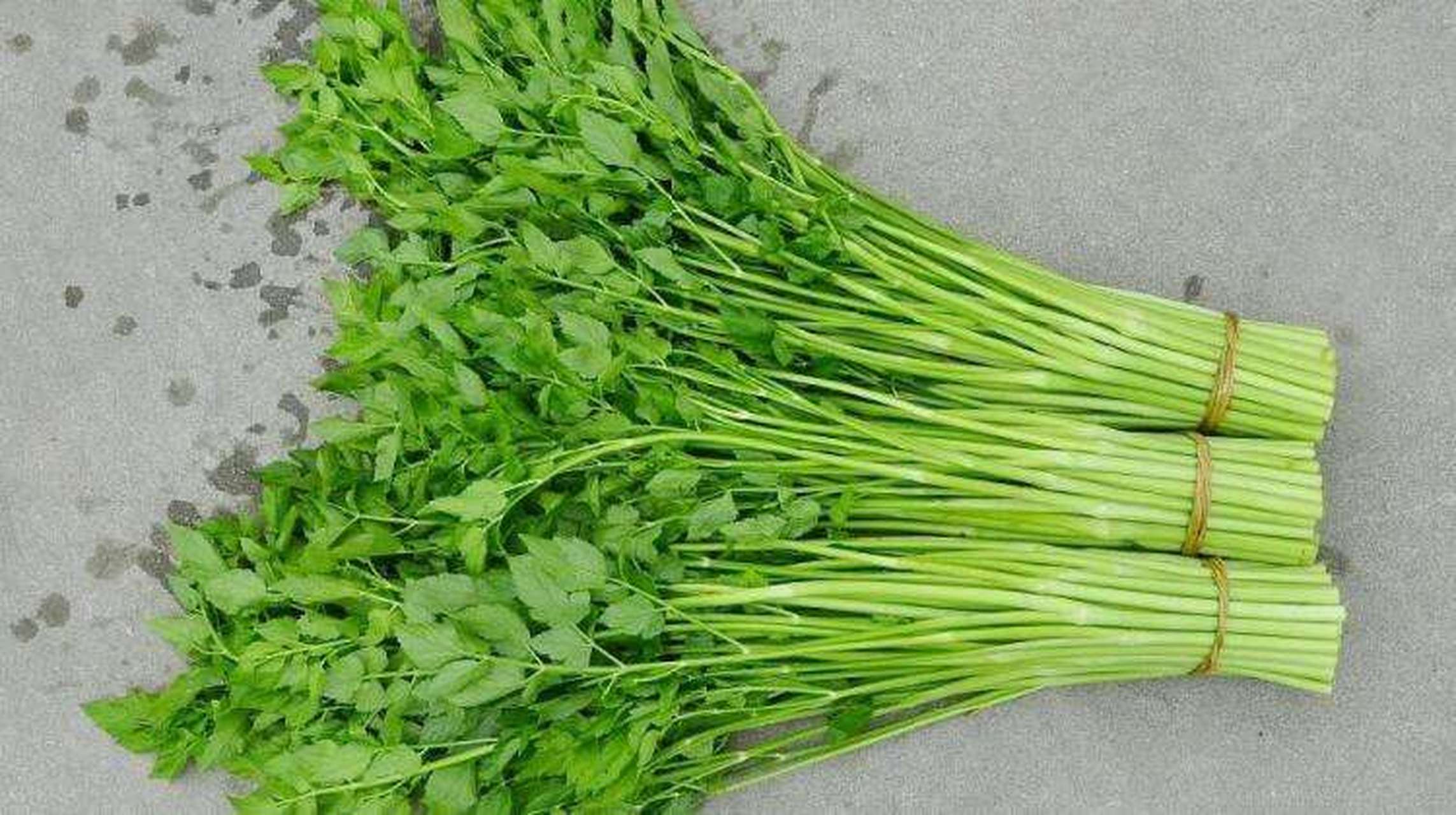 水芹菜,多年生草本植物,别名:野芹菜.