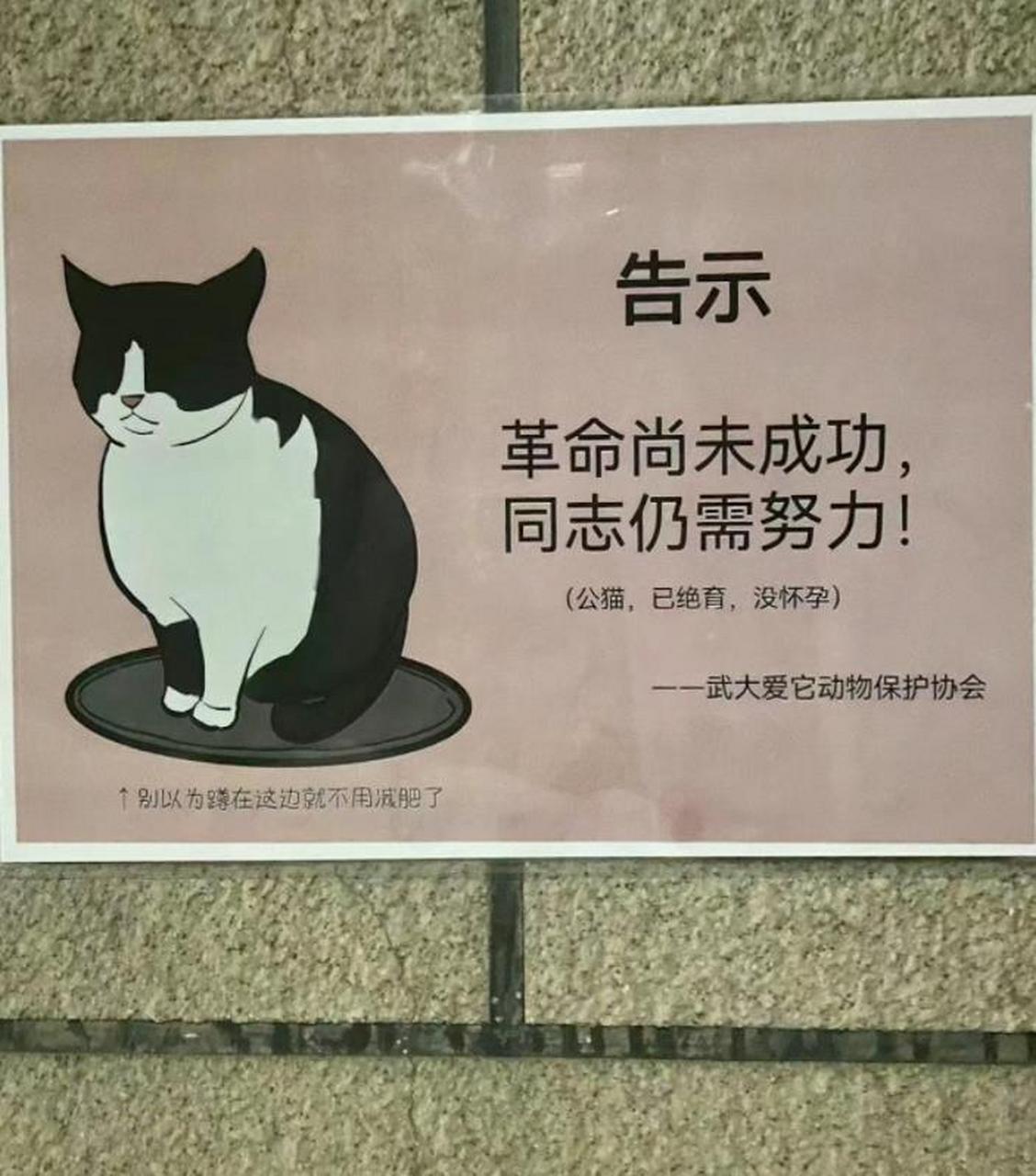 革命尚未成功,同志仍需努力